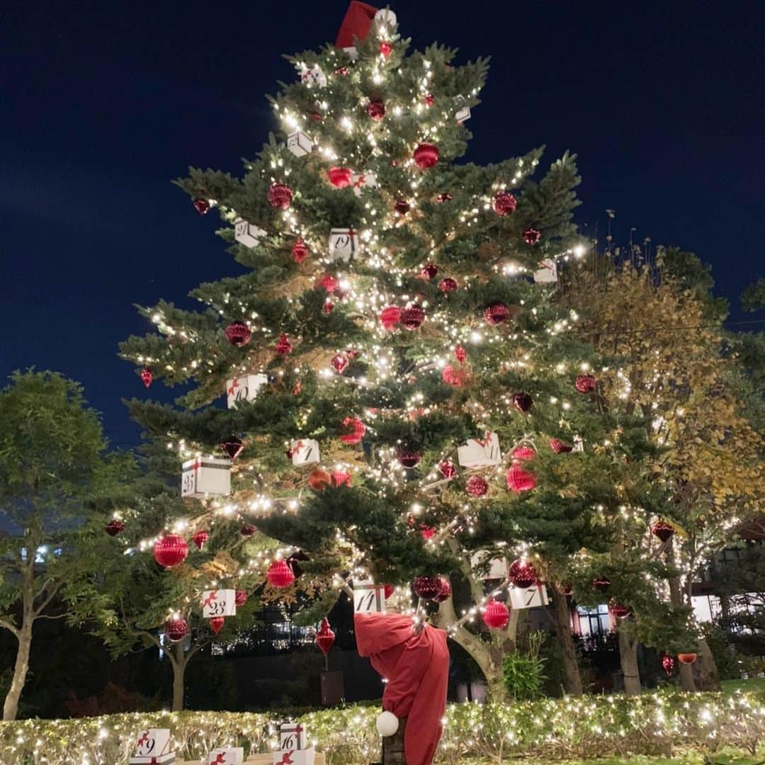 柴本愛沙さんのインスタグラム写真 - (柴本愛沙Instagram)「♡ きのう(メリークリスマスの日🎄)は、 年内最後のTBS NEWS出演でした。 佐竹さんと一緒でした💕  スタジオにツリーはないけど、 クロマキーが緑でツリーっぽい？ので、 この前に立つと一気にクリスマス感が🎄  年に一度しか使えないピアスを #フライングタイガー で購入したので つけてみました。(写真3枚目)  そして、ドラマ見ていて食べたいと思っていた #あた恋 (じゃなくて #恋あた なのね😅) #ココエブリィ のデザート🍮 編集長さんからもらいました🎁  私の仕事納めは31日ですが、 レギュラーの年内のお仕事は終わったので しばらくゆっくり過ごそうと思います♪ ------------- 👗ワンピース… @grace_continental.div  💎ピアス… @flyingtigerjp  -------------  #TBSNEWS #佐竹美希 さん #柴本愛沙 #年内最後 #クリスマス #一旦仕事納め #帰省もできず #何やろう #クリスマスカラー #ワンピース #グレースコンチネンタル #gracecontinental #ピアス #クリスマスピアス #flyingtiger #フライングタイガー購入品 #クリスマスコーデ #ワンピースコーデ #cordinate #ootd #12月25日 #merrychristmas」12月26日 20時21分 - aisa_shibamoto