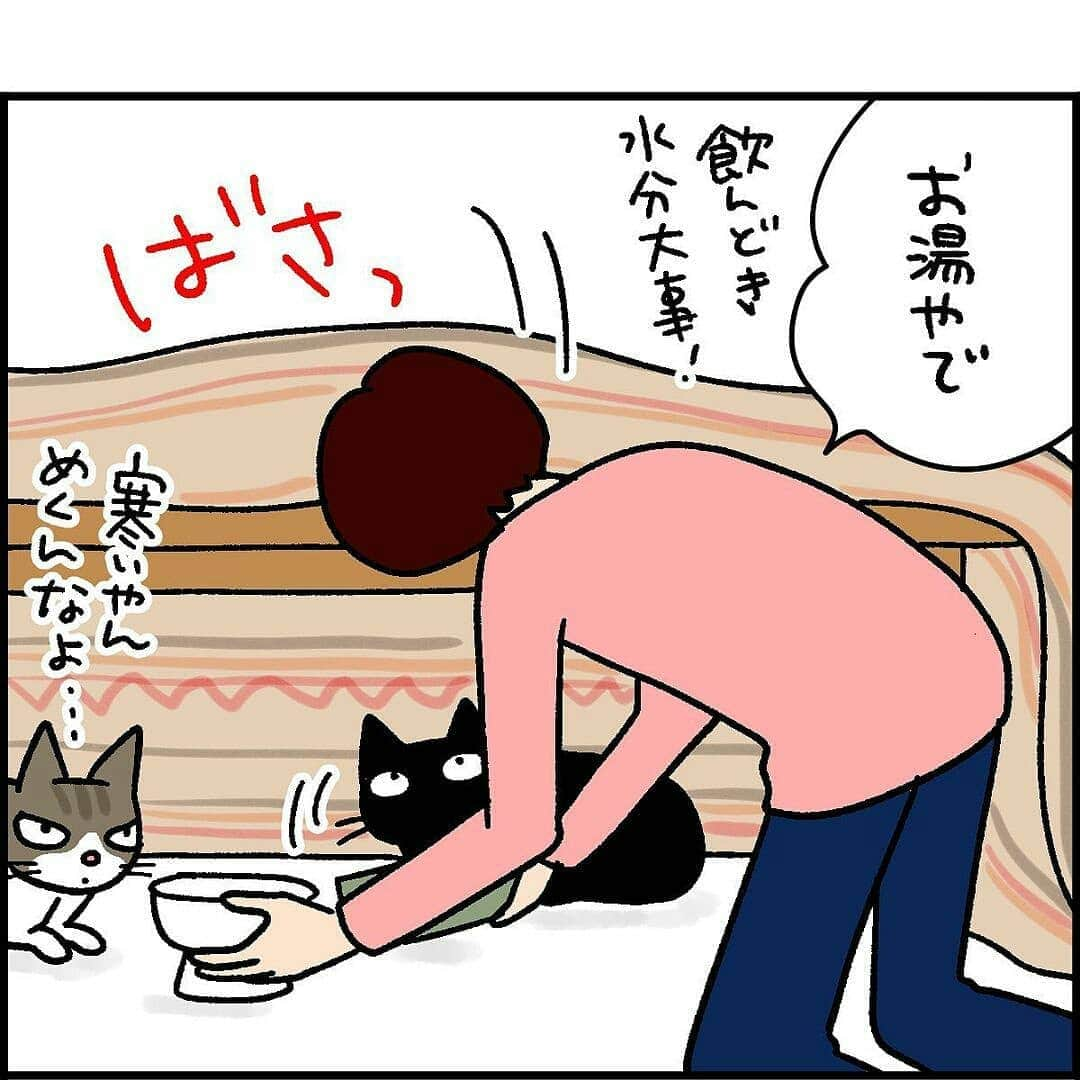 猫壱（ねこいち•ネコイチ）さんのインスタグラム写真 - (猫壱（ねこいち•ネコイチ）Instagram)「【#猫マンガ 】 ▫ だって心配になっちゃうもの… ▫ ▫ #猫あるある #冬の脱水対策は大切だから #過保護くらいでちょうどいい😁 ▫ ▫ :::::::::#猫壱 ::::::: 猫壱は猫と人との暮らしの向上を目指して猫グッズの開発に取り組んでいます♪ ▫ 気になる方は @necoichicojp をチェックしてみてくださいね！ ▫ ▫ 【Special thank-you @86palpal 💕💕💕💕】」12月26日 20時22分 - necoichicojp