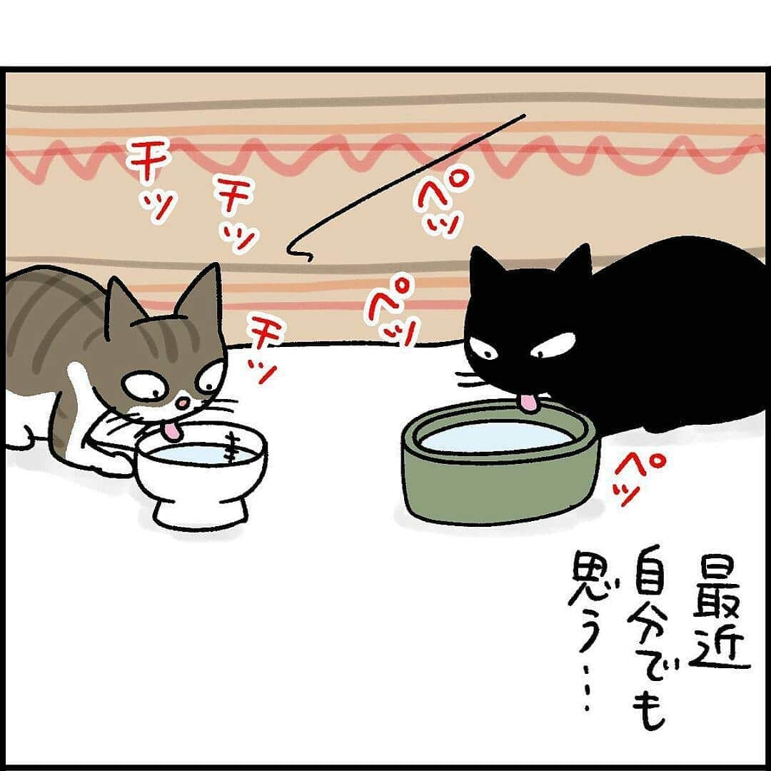 猫壱（ねこいち•ネコイチ）さんのインスタグラム写真 - (猫壱（ねこいち•ネコイチ）Instagram)「【#猫マンガ 】 ▫ だって心配になっちゃうもの… ▫ ▫ #猫あるある #冬の脱水対策は大切だから #過保護くらいでちょうどいい😁 ▫ ▫ :::::::::#猫壱 ::::::: 猫壱は猫と人との暮らしの向上を目指して猫グッズの開発に取り組んでいます♪ ▫ 気になる方は @necoichicojp をチェックしてみてくださいね！ ▫ ▫ 【Special thank-you @86palpal 💕💕💕💕】」12月26日 20時22分 - necoichicojp