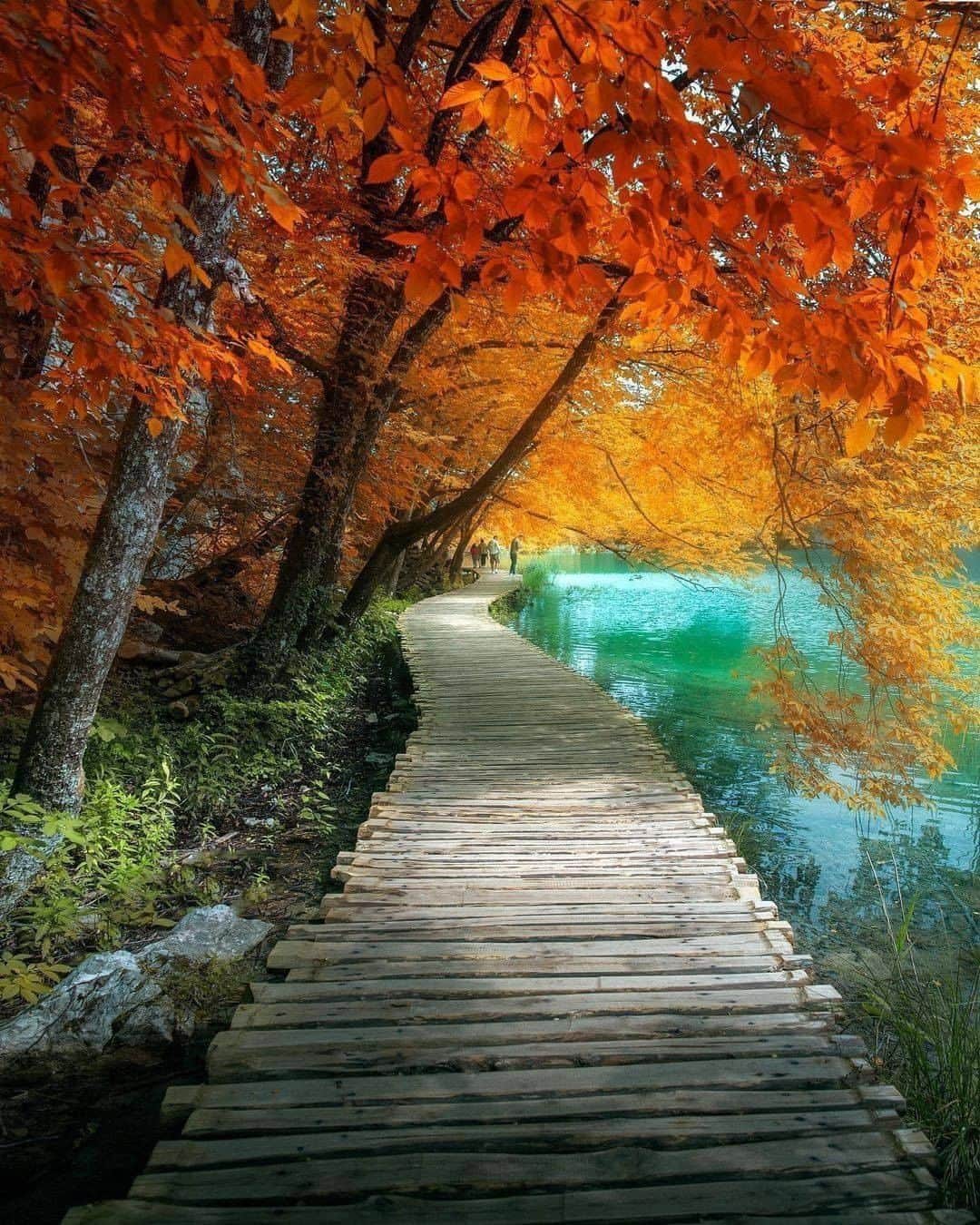 9GAGさんのインスタグラム写真 - (9GAGInstagram)「Whom would you walk down this path with? 🍁  Follow @voyaged for more magical places around the 🌍 - 📷 @ilhan1077 - #voyaged #croatia #9gag」12月26日 20時30分 - 9gag