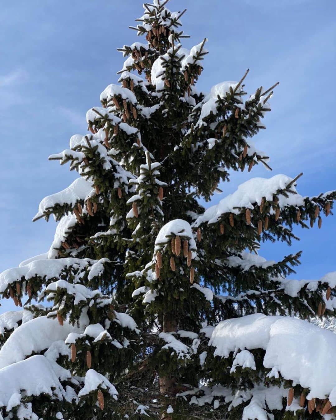 ニールバレットさんのインスタグラム写真 - (ニールバレットInstagram)「A Bright new day! Photos by me last time I was on the Matterhorn mountain   #NeilBarrett #Christmas2020 #MerryChristmas #HappyHolidays」12月26日 20時31分 - neilbarrett