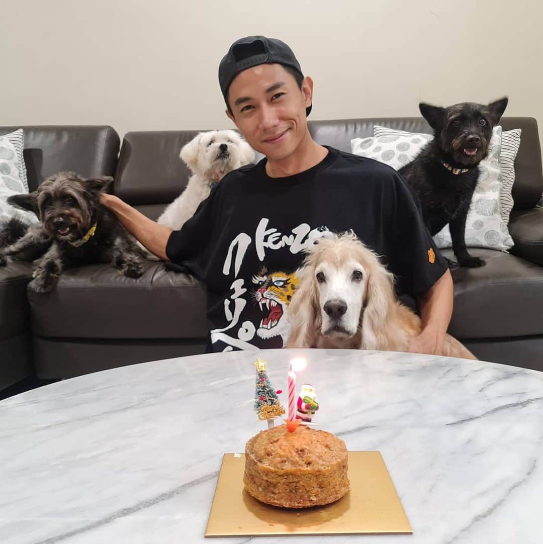 デスモンド・タンのインスタグラム：「Happy 11th Woofday, Hoshi baby! Stay grumpy and healthy! 我的老大宝贝11岁咯! 让河獅微笑几乎是不可能的事。😂 算了啦! 只要我宝贝健康快乐就行了!   #hoshitan #udontan #parkietan #kantotan #陈河狮 #陈乌东」