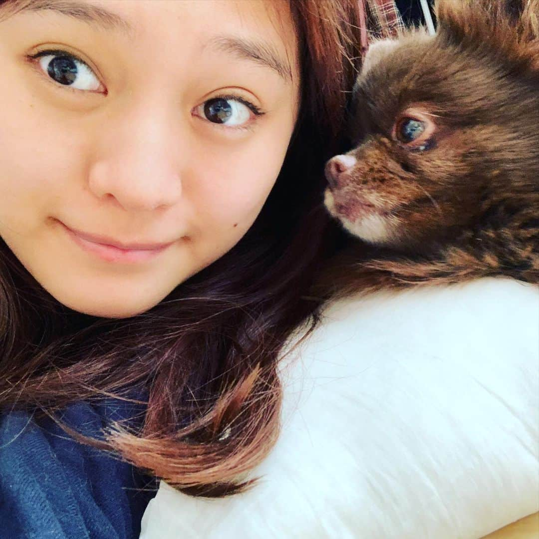 犬塚あさなさんのインスタグラム写真 - (犬塚あさなInstagram)「#ポメラニアン大好き #一番の理解者　＃泣いてたらこんな事してくれるの　#もうかわいいとかゆーレベルじゃない #愛してる　＃犬は家族　#チョコレートポメラニアン　#チョコポメ」12月26日 21時32分 - wanchan_0319