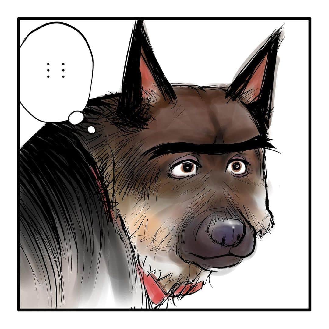 てらりんさんのインスタグラム写真 - (てらりんInstagram)「『ゴボウ』まとめ読み10-⑥  #漫画 #マンガ #まんが #インスタ漫画 #創作 #コミック #イラスト #犬 #シェパード #ゴボウ #manga #comic #illustration #art #drawing #dog #germanshepherd #alsatian #gobo」12月26日 21時56分 - terarin08
