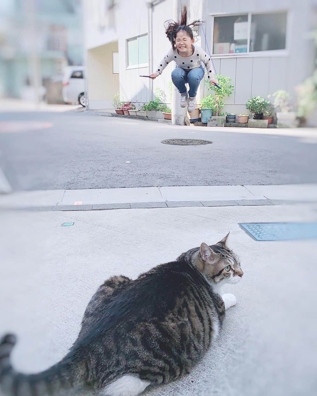 korokoronyaさんのインスタグラム写真 - (korokoronyaInstagram)「↟﻿*∗ 26 Dec, 2020  #pastpic Double jump practice💨💨 * 二重跳びの練習過去写真💨💨 マメちゃん全然興味なし😜 * #まめとちびまめ」12月26日 22時01分 - korokoronya