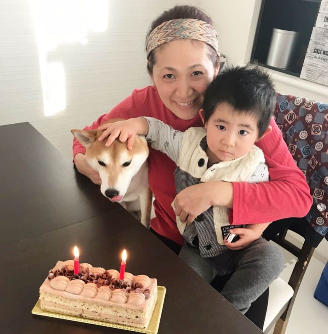 高橋みゆきのインスタグラム：「誕生日🎂おめでとうでした私❣️ #誕生日 #1日遅れでお祝い #クラ吉は食べたくて仕方ない #でもチョコだからダメ🙅‍♀️ #違うのね」