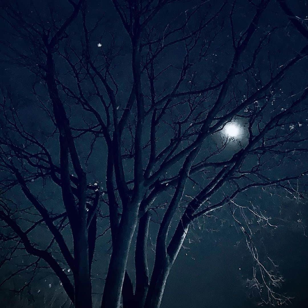 有森裕子さんのインスタグラム写真 - (有森裕子Instagram)「Moonlit night」12月26日 22時16分 - arimori.yuko33