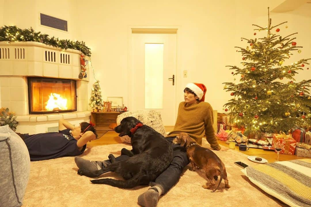 原口るりこのインスタグラム：「. . 原口家のクリスマスin Germany 🎄 . . せっかく暖炉があるので 暖炉とツリーの前で プレゼント交換をしたいなぁ🎁 . と思い、 ふわふわラグとクッションを 少し前に新調しました☺️✨ . #色やデザイン迷いすぎて買うの諦めようとまでしたけど買って良かったです☺️❤️ . 犬たちも、 人間も 暖炉の前はやっぱり ぬくぬく出来ますね♡ . #床の上ってなんだか落ち着く #日本人ならではかなぁ . . プレゼント交換って楽しいなぁ🥰 自分もわくわくするし 相手がわくわくしている姿をみているのも とっても楽しいですね☺️✨ #プレゼントは30ユーロ前後のものという縛り  . . 楽しいクリスマス会に なりました♡ . . #家族time  #ドイツでクリスマス #ドイツのクリスマス #ドイツ生活 #ドイツ暮らし #暖炉 #イルミネーション #labrador #labradorretriever #レトリーバー #レト #ラブラドールとの生活  #ラブラドールのいる暮らし #ラブラドールイエロー #黒ラブ #lab #ドイツ #germany #hannover #犬との暮らし#犬のいる暮らし #いぬら部 #犬バカ #犬のいる生活 #犬と暮らす #田舎暮らし」