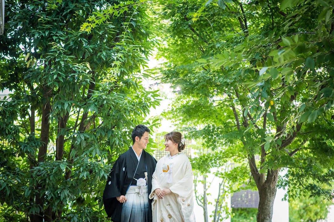 麗風つくばシーズンズテラスのインスタグラム：「. 緑に囲まれた まるで森の中での1枚🍃 . 和装も洋装も似合う 麗風だけで残せる お写真はいかがでしょうか？ . #麗風つくばシーズンズテラス  #茨城 #つくば #研究学園  #卒花嫁 #プレ花嫁 #関東花嫁  #全国のプレ花嫁さんと繋がりたい  #日本中の花嫁さんと繋がりたい  #ウェディングドレス #結婚式 #結婚式準備  #前撮り#ナチュラル　 #自然 #和装 #wedding #weddingdress  #weddingphotography  #weddinghair #photos  #welcome #photography  #original #weddingparty  #instagood #instalike  #instagram  #dearswedding  #smile」