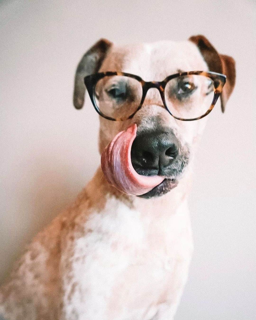 Warby Parkerのインスタグラム：「Anyone wearing a new pair of glasses today? If so, which ones? 🤓🗣👇 (📸 by @rufustheheeler.)」