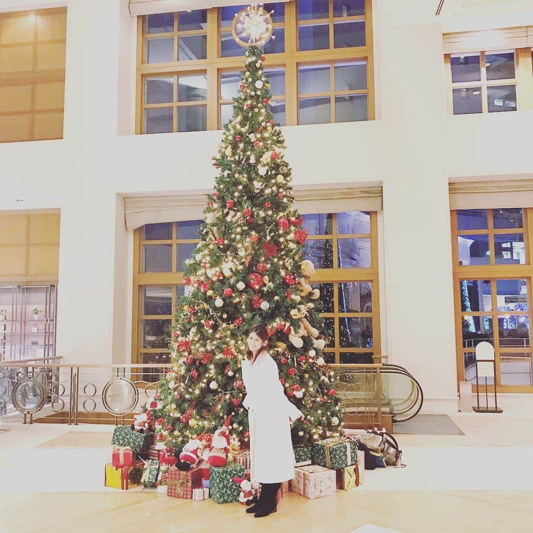 小阪有花（小阪由佳）さんのインスタグラム写真 - (小阪有花（小阪由佳）Instagram)「今年のクリスマスはクリスマスツリー🎄めぐりでした✨  #クリスマスツリー #gotoキャンペーン #ツリー巡り #クリスマスはギリギリgoto使えた」12月27日 0時56分 - kosakayuka0627