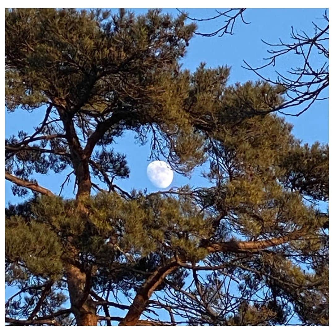 大和悠河さんのインスタグラム写真 - (大和悠河Instagram)「月 青空に月です。 お昼間に綺麗な月 .  #大和悠河　#yugayamato @yugayamato  #月　#moon  #moon #moonlight  #moonjewelry  #Japan #japan_daytime_view  #japanlover   #月　#月が綺麗ですね  #月が綺麗  #月がきれい」12月27日 1時06分 - yugayamato