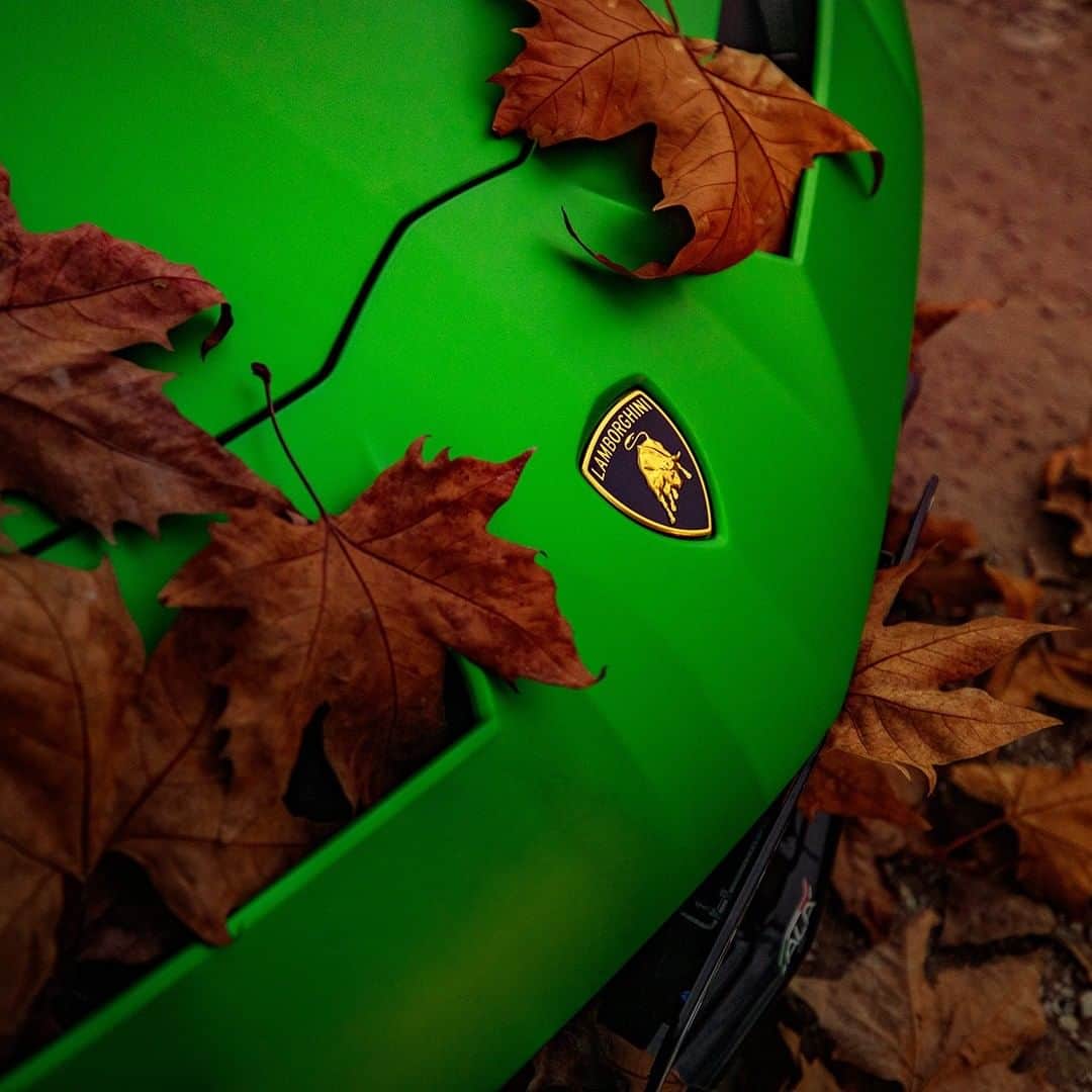 ランボルギーニさんのインスタグラム写真 - (ランボルギーニInstagram)「The best way to make Aventador SVJ’s style shine is to have it surrounded by fascinating natural shades.  But the question is: which color is it, Verde Alceo or Verde Mantis?  #Lamborghini #AventadorSVJ #GuessTheColor」12月27日 2時00分 - lamborghini