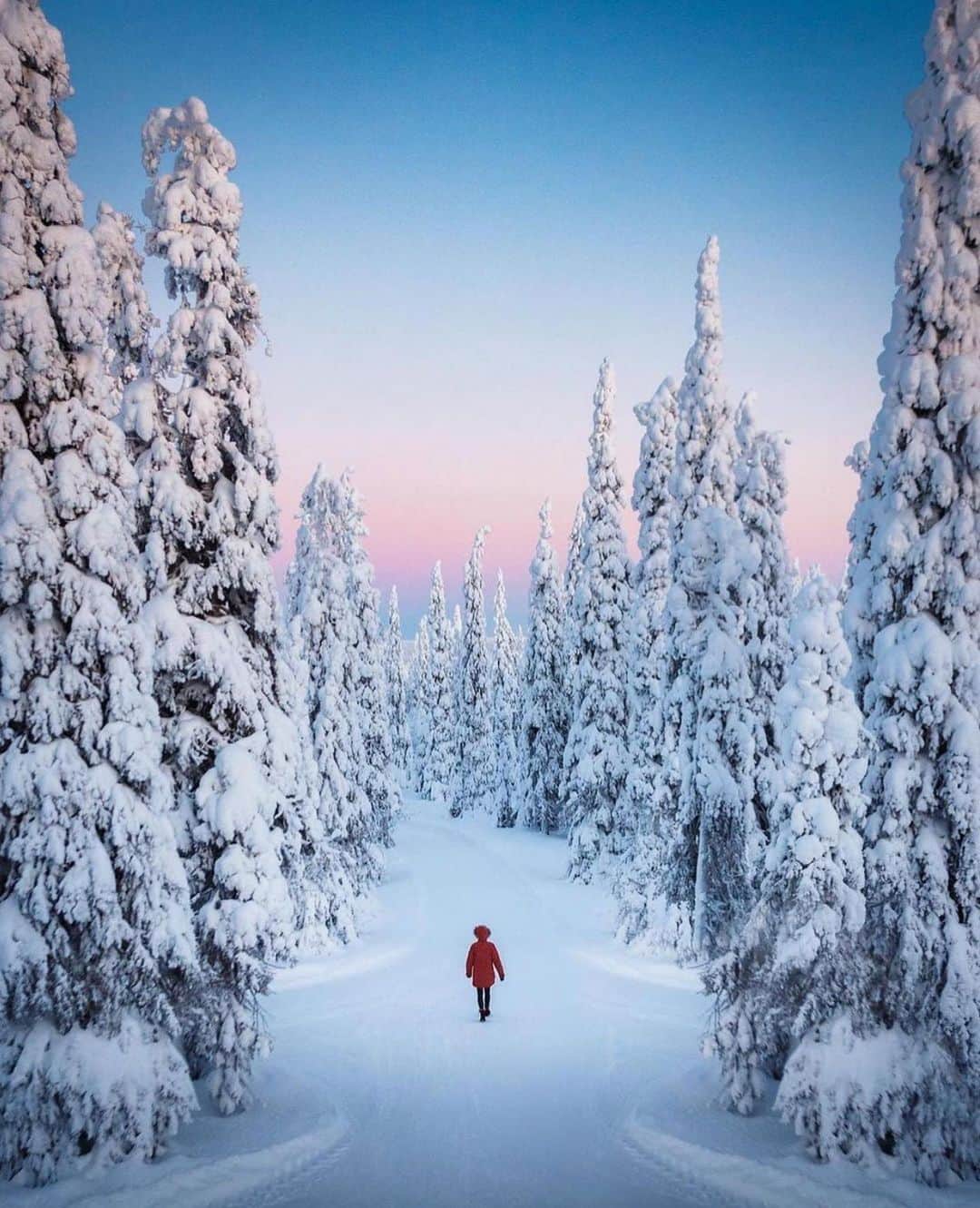 Wonderful Placesさんのインスタグラム写真 - (Wonderful PlacesInstagram)「Beautiful winter morning in Finland ✨😍😍😍✨ . 📷 by ✨✨@ryanresatka✨✨ #wonderful_places for a feature ❄️💙」12月27日 2時12分 - wonderful_places