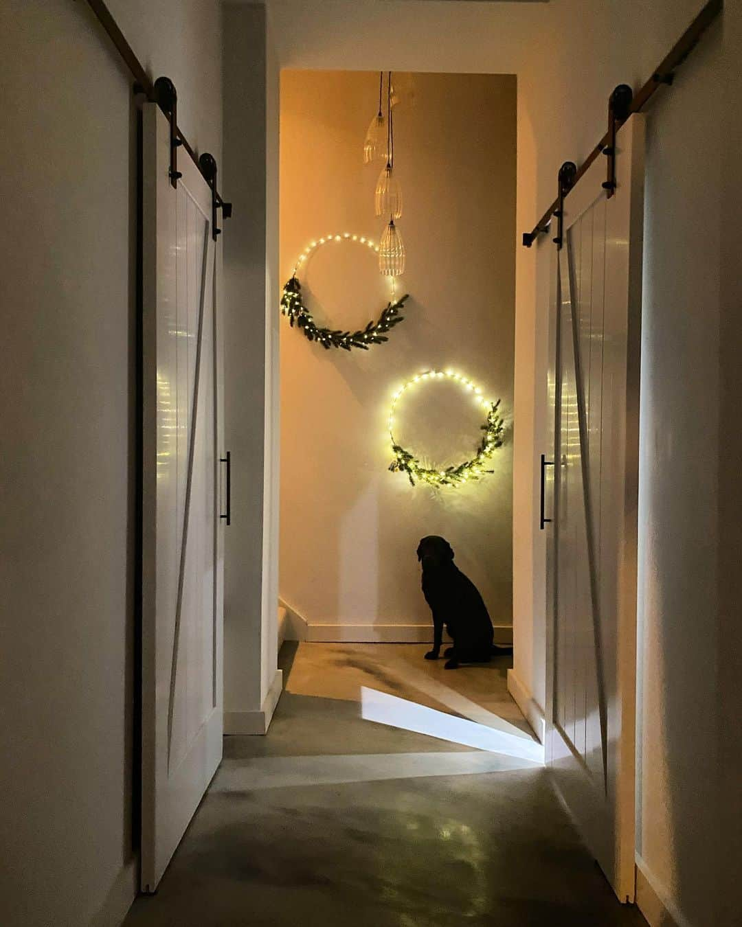 ヘレン・スケルトンさんのインスタグラム写真 - (ヘレン・スケルトンInstagram)「The only place in the house I can see the floor. Ps there were three of these wreaths but the kids accidentally broke one. Obvs. PPS my dog does have a face. #home #labradorsofinstagram #christmas #boxingday」12月27日 2時23分 - helenskelton