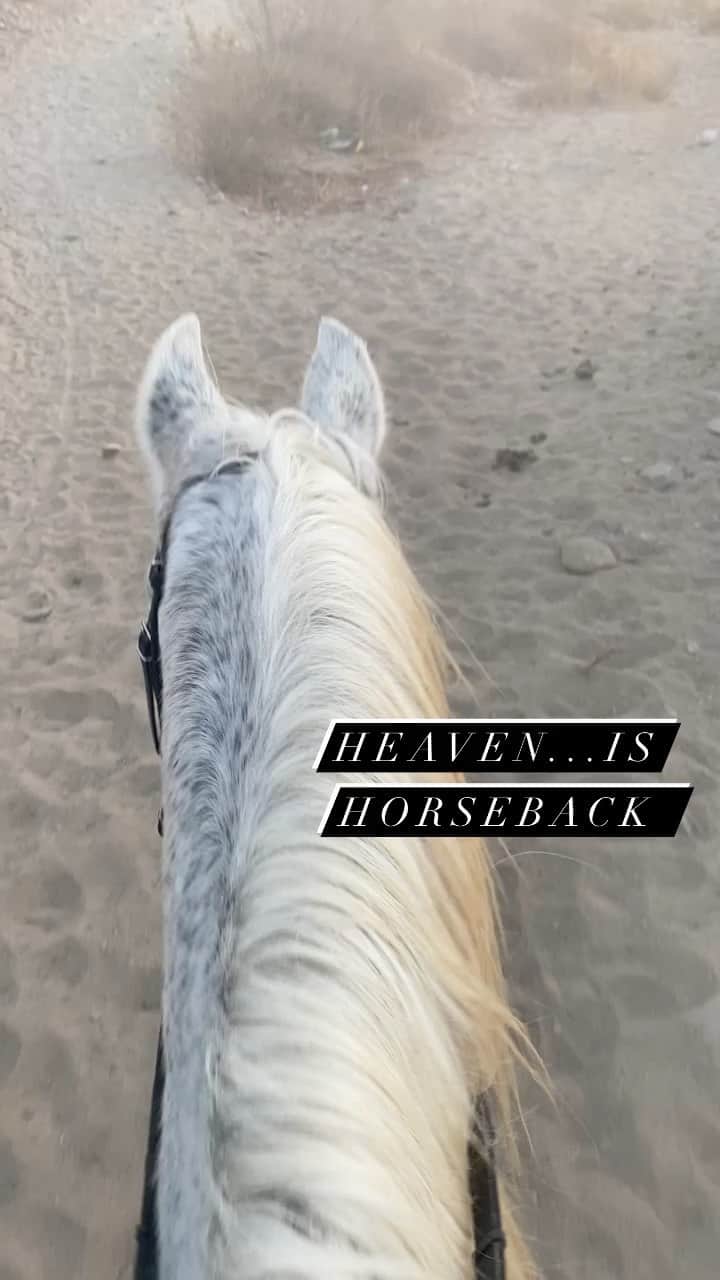 JO BAKERのインスタグラム：「In this year of emotional trauma and evolution ... being able to safely ride with my friend on her beautiful rescue horses was by far one of the hi-lights and utterly therapeutic!! Thank you B ..sunrise, sunset, mountain trails, through shallow waters and seeing eagles, coyotes, mating frog marshes and much more  of California’s amazing nature - if you live in Los Angeles area and would like to have access to this incredible one on one experience comment below so I can share her contact details with you. #horses #horsesofinstagram #horsetherapy #horsebackriding #horse」