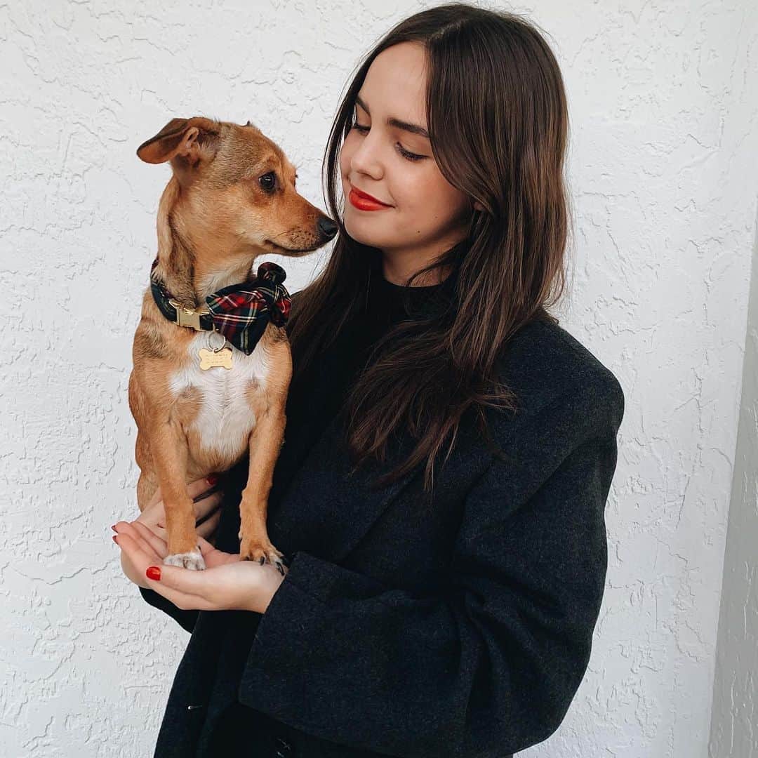 ベイリー・マディソンのインスタグラム：「Buzz’s first Christmas had me go from “I’m never dressing my dog up” to full blown “here’s a bow tie and Christmas pj’s to wake up in!” mom mode. (And of course all the fur friends had to twin) Hope you all had a love filled Christmas🎄」