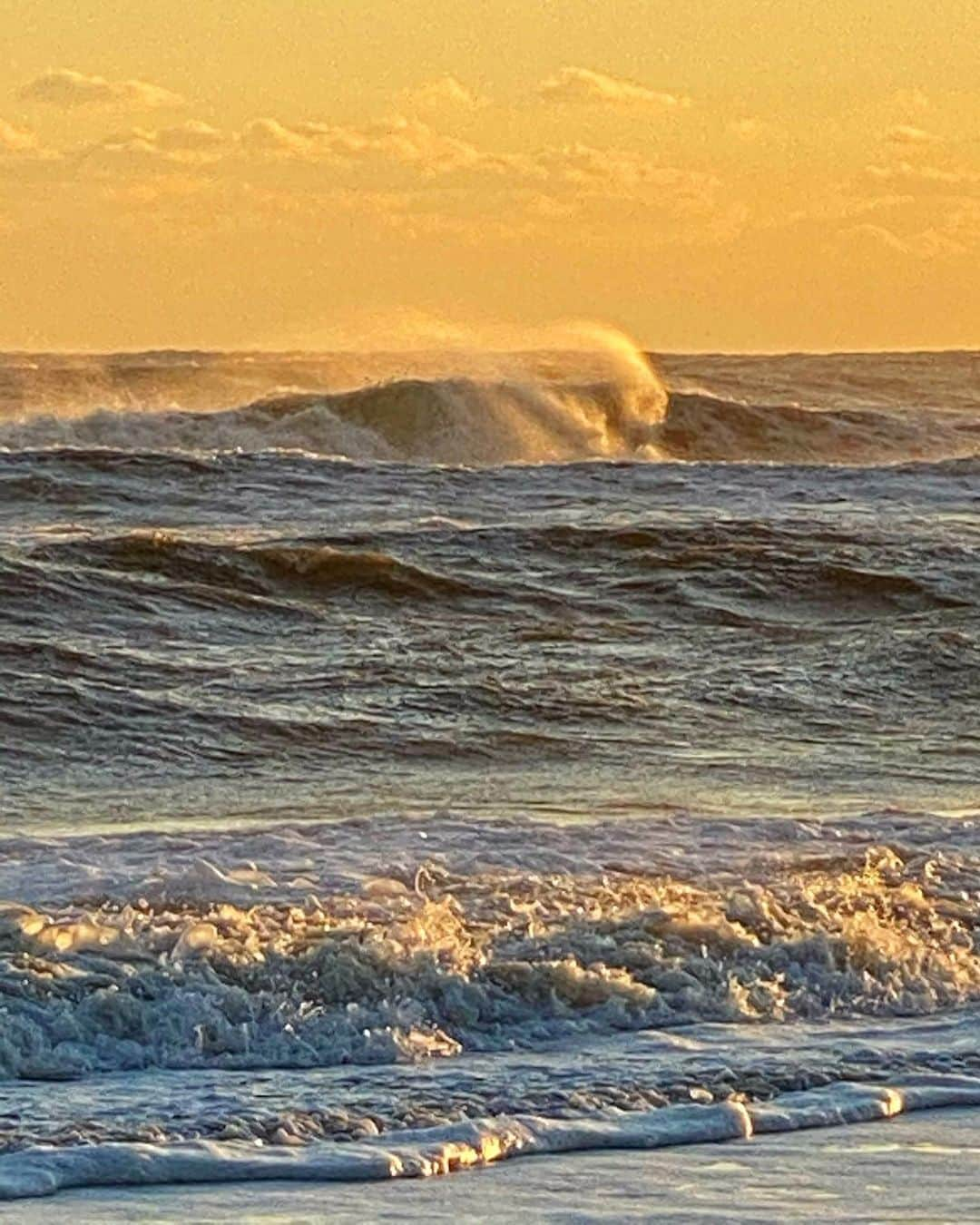 ベン・ワッツさんのインスタグラム写真 - (ベン・ワッツInstagram)「Wynston & mummy running into the sunset on this perfect montauk evening #montaukdreaming #montauk #newyear #ahead #fresh #benwatts」12月27日 6時14分 - wattsupphoto