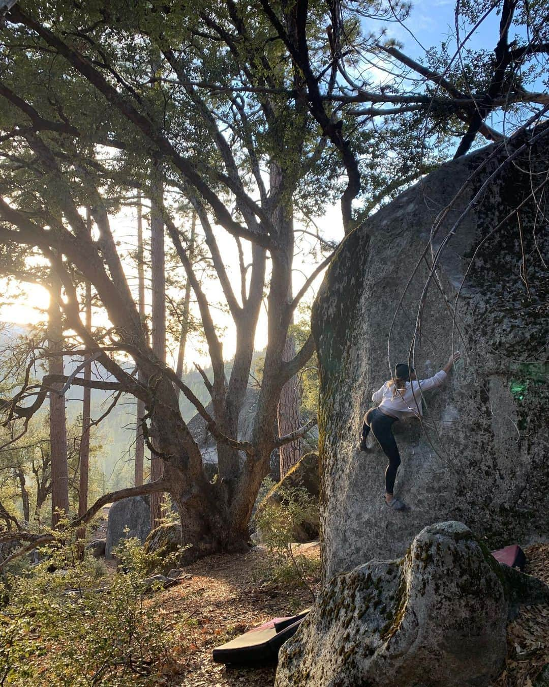 ミーガン・マーチンさんのインスタグラム写真 - (ミーガン・マーチンInstagram)「I was lucky enough to spend my Christmas Eve bouldering outside under Sugarloaf, a huge granite spire towering over Kyburz. This was the first time I’ve explored any of the bouldering there, usually I’m fearfully following Dave up the many amazing trad routes that Sugarloaf has to offer. A couple of days before, Dave sent me a photo of this awesome slab boulder that hadn’t been climbed in a while. He spent a few hours re-scrubbing off the overgrown moss and when we got to the boulder, I was immediately psyched to see such a beautiful line. Right before I started climbing, an older man walked up and started talking about how psyched he was that someone had cleaned the line off, since it doesn’t see a lot of love. Turns out the man was the legend himself, Paul Crawford. Known to many as one of the legends who has put up numerous trad first ascents in the Tahoe area back in the 70s and 80s, but maybe less known, a huge part of the bouldering development at Sugarloaf. As I pulled on for my first couple of tries, he watched as I made some moves, but struggled to not slip off the small foot holds that were few and far between. He tried to remember the way that he did it years ago, which required a desperate move to the arête. I kept trying, and then bam! I broke the best hold on the boulder. Paul chuckled a little and just said, “ya, that happens, now it’s a little harder.” After figuring out some funky beta, I made it work and got to that arête hold. Now all that was left was to figure out the semi sketchy moves and not bail at the top. It was quite a relief and exciting to finish off the boulder, psyched that it still works after the break. I gotta say, it was a great way to spend Christmas Eve. Get out and try Mavericks, it may be a little harder now, but it’s a pretty sick line, or as Paul Crawford, would say, “it’s totally bitchin.”  @soill @organicclimbing @jtreelife @gnarlynutrition @frictionlabs @alpinestartfoods @craftedenergy」12月27日 7時04分 - meaganmartin89