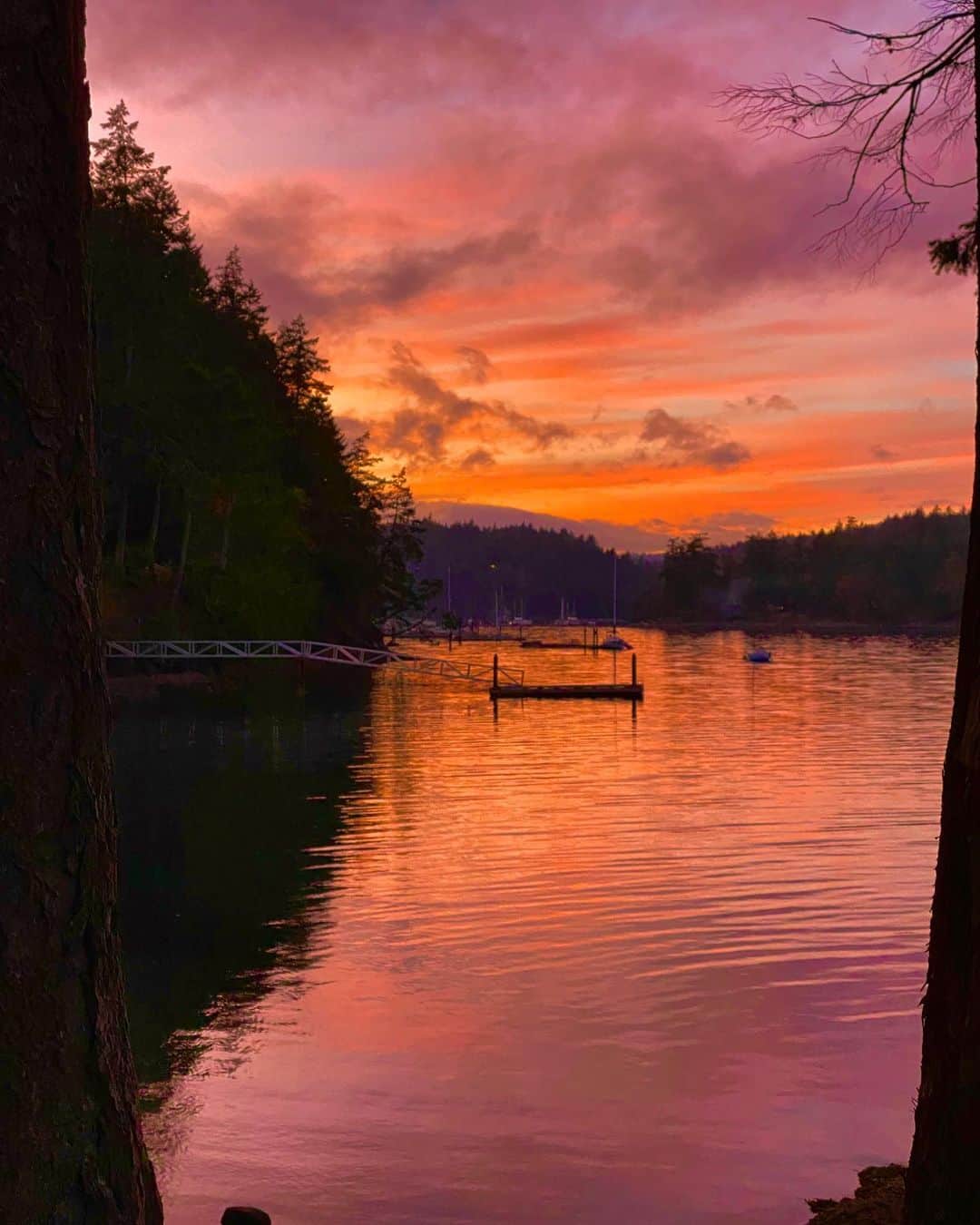 ハンナ・シモンのインスタグラム：「Oh Salt Spring Island. You magical spirit. Never not the most beautiful girl in the world. 🌅」
