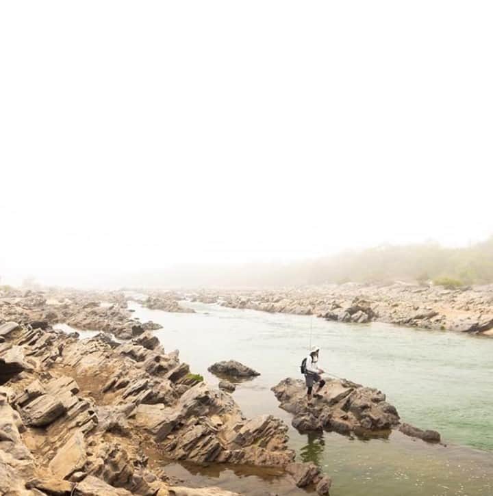 Costa Sunglassesのインスタグラム：「Chilly mornings hunting down Nile perch. Perks of fly fishing the jungles of Cameroon. 📷: @african_waters @stuart_harley_ #SeeWhatsOutThere #BornOnTheWater」