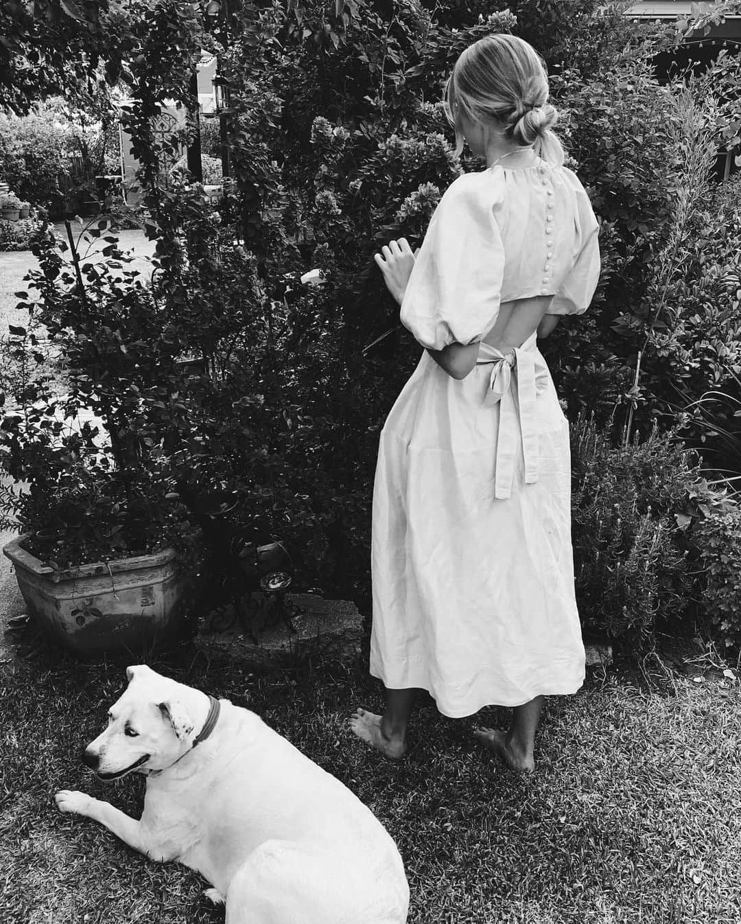 のインスタグラム：「Mum’s garden & Ruby 🐶🌿🌸🎄」