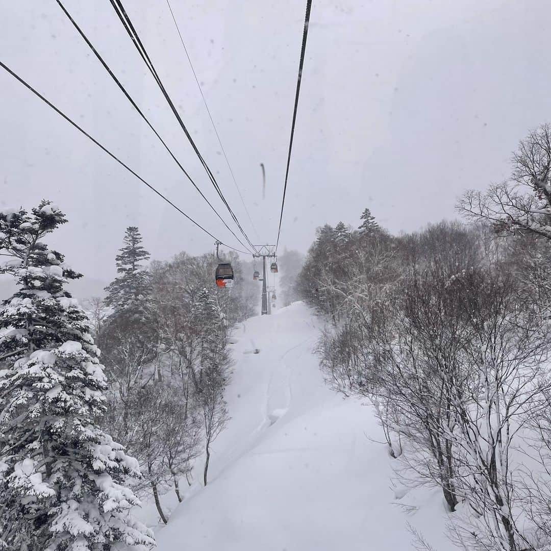 宇佐美進典さんのインスタグラム写真 - (宇佐美進典Instagram)「北海道の粉雪は最高！滑り過ぎて足がガクガク。　#粉雪　　#パウダースノー #キロロリゾート #北海道」12月27日 18時36分 - usapon