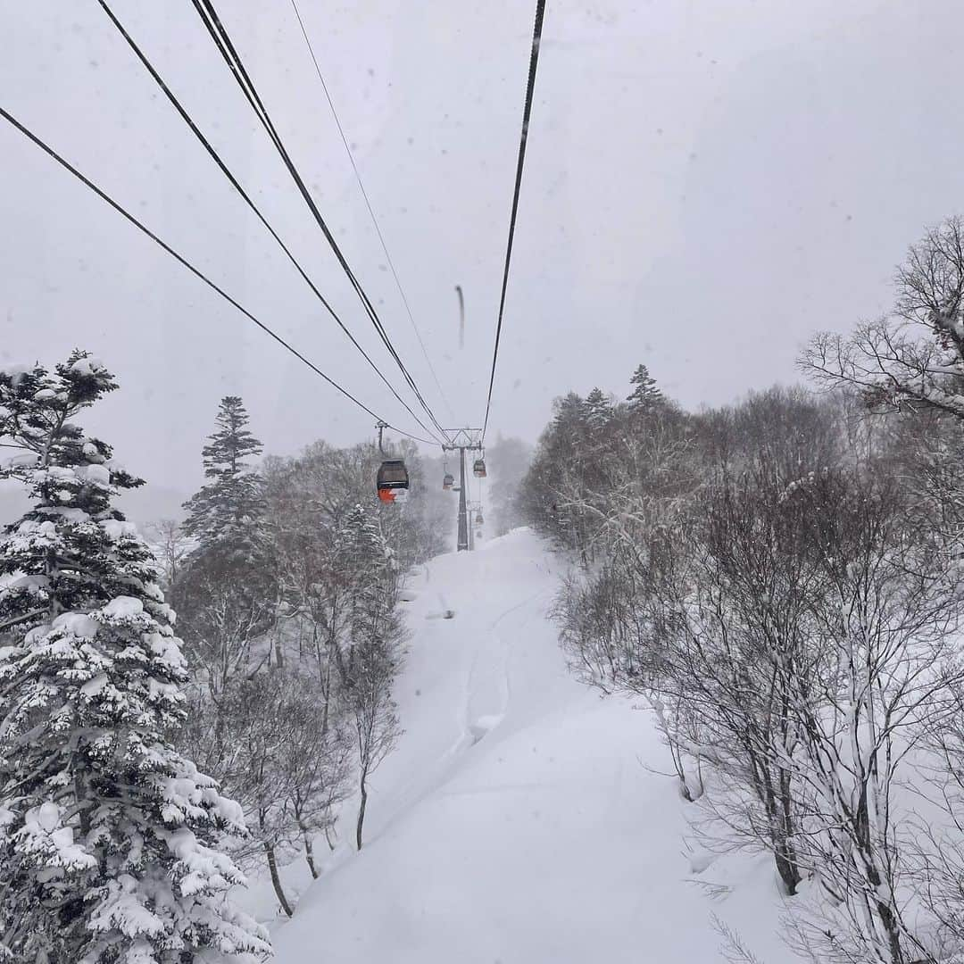 宇佐美進典のインスタグラム：「北海道の粉雪は最高！滑り過ぎて足がガクガク。　#粉雪　　#パウダースノー #キロロリゾート #北海道」