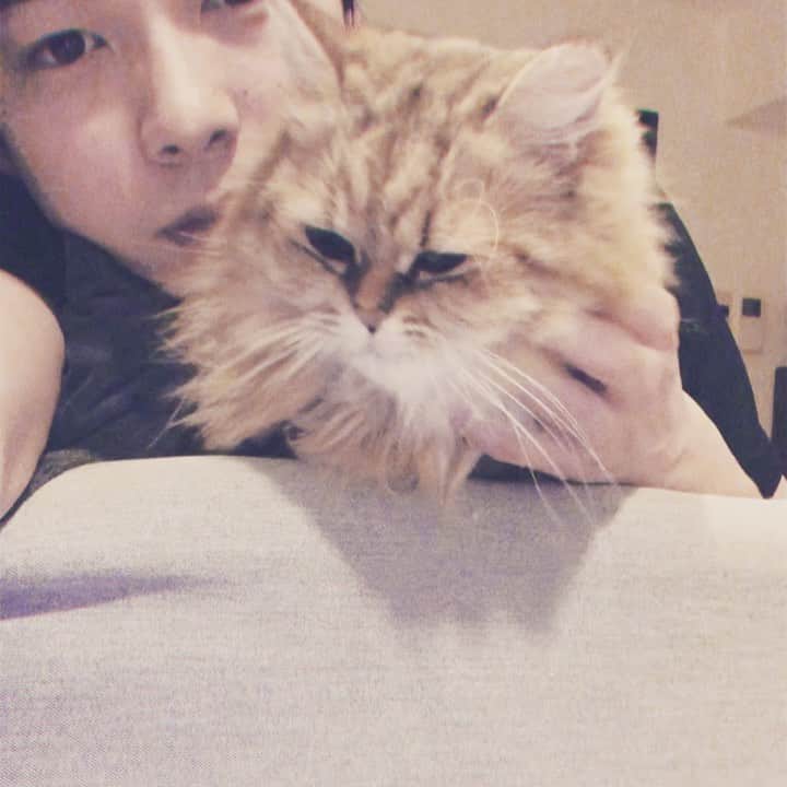 柾木玲弥のインスタグラム：「なんや！この幸せな時間は！ #猫  #ねこ  #ねこすたぐらむ  #にゃんすたぐらむ」