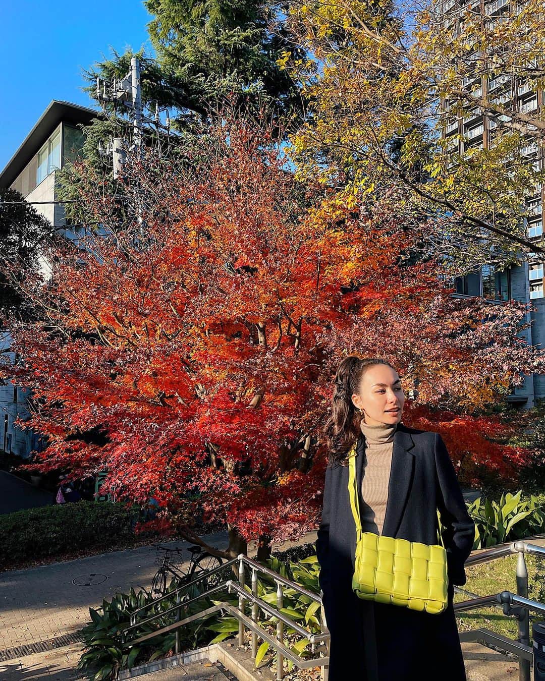 シャウラさんのインスタグラム写真 - (シャウラInstagram)「かっこいい木を見つけたのでちょっとカッコつけてみた。 This tree is 🔥🔥🔥  So I tried to be 🔥🔥🔥 #treelover #japan」12月27日 17時45分 - shaula_vogue