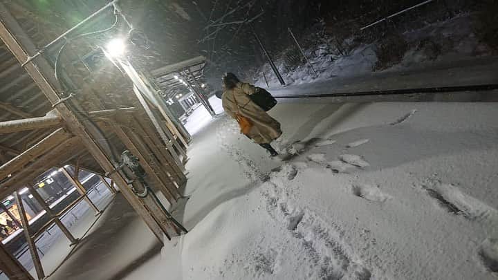峰麻美さんのインスタグラム写真 - (峰麻美Instagram)「雪に慣れていない人が雪を見るとこうなります☃️  #snow #snowing  #happy #テンション上がりすぎ #走りすぎ #浮かれすぎ #雪踏みしめるの楽しすぎ」12月27日 17時56分 - asaaaaami.0702