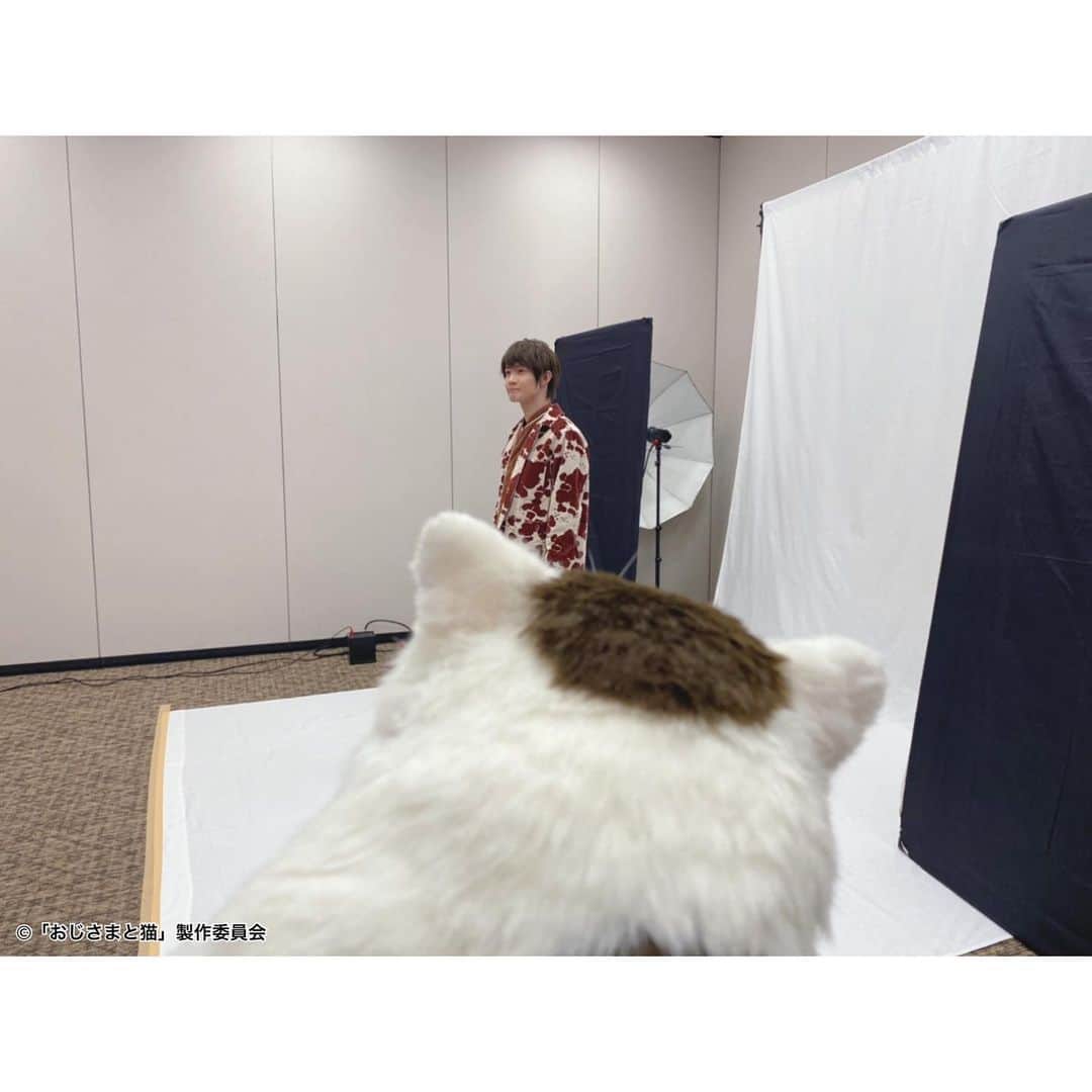 おじさまと猫さんのインスタグラム写真 - (おじさまと猫Instagram)「#ふくまる 、２ショット中📷🙌 (神木隆之介さんの取材にて！)  最初は少し緊張していたけど、 とても楽しそうでした🐱💓  ＼ドラマParavi #おじさまと猫 ／  配信スタートまであと5日✨ 放送まであと10日✨  地上波では1月6日(水)深夜0時58分スタート📺 #Paraviでは1月1日(金)夜9時〜独占先行配信📱  新年は「おじさまと猫」🎍  ぜひお楽しみに🥰  #テレビ東京 #Paravi  #おじ猫  #草刈正雄 #神木隆之介 #小関裕太 #武田玲奈 #平山浩行  #高橋ひとみ #升毅  #撮影まる #猫のいる暮らし」12月27日 17時57分 - tx_ozineko
