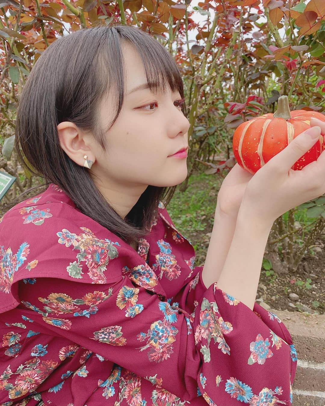 田口愛佳さんのインスタグラム写真 - (田口愛佳Instagram)「かぼちゃ  かぼちゃ」12月27日 18時12分 - t_manaka.12