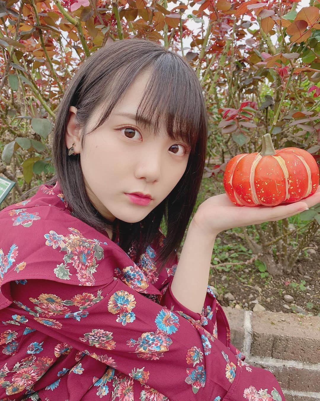田口愛佳さんのインスタグラム写真 - (田口愛佳Instagram)「かぼちゃ  かぼちゃ」12月27日 18時12分 - t_manaka.12