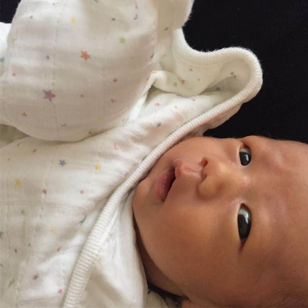 のインスタグラム：「今日のうーたん  ブルパパデレデレ👨  Today‘s Uta 👶🏻」