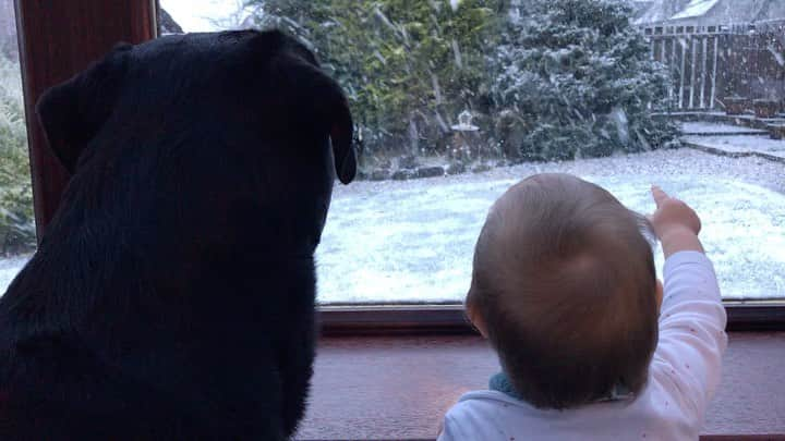 エイリー・チャイルドのインスタグラム：「Campbell showing Clyde the snow ❄️🥰」