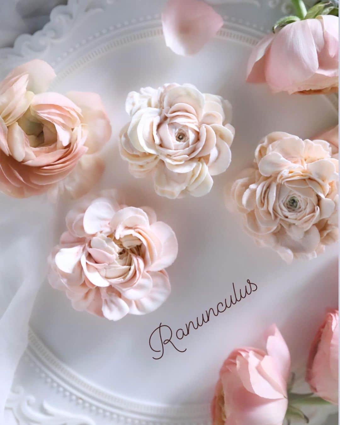 청담 수케이크 (atelier soo)さんのインスタグラム写真 - (청담 수케이크 (atelier soo)Instagram)「ㅡ Buttercream flower.  Soocake style. Ranunculus.  ㅡ #flower #cake #flowercake #partycake #birthday #bouquet #buttercream #baking #wilton #weddingcake #wedding ㅡ www.soocake.com vkscl_energy@naver.com」12月27日 9時52分 - soocake_ully