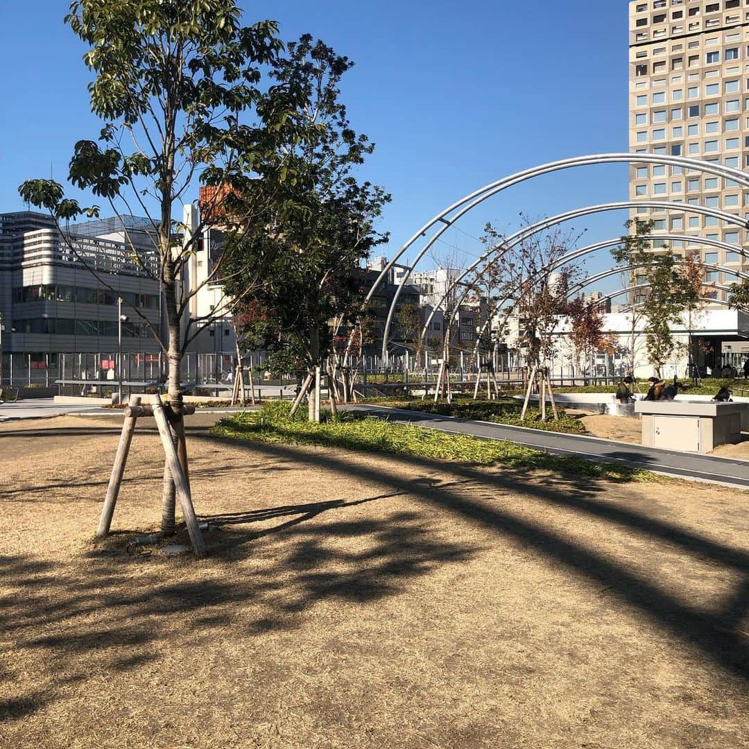 ヨネスケさんのインスタグラム写真 - (ヨネスケInstagram)「渋谷、宮下公園が新しく生まれ変わりました。屋上にボルタリング、ビーチバレー場、そして色々なお店が入ってる。 #宮下公園#宮下公園パーク#宮下パークグルメ#ボルタリング#ビーチバレー」12月27日 11時18分 - yonesuke5656