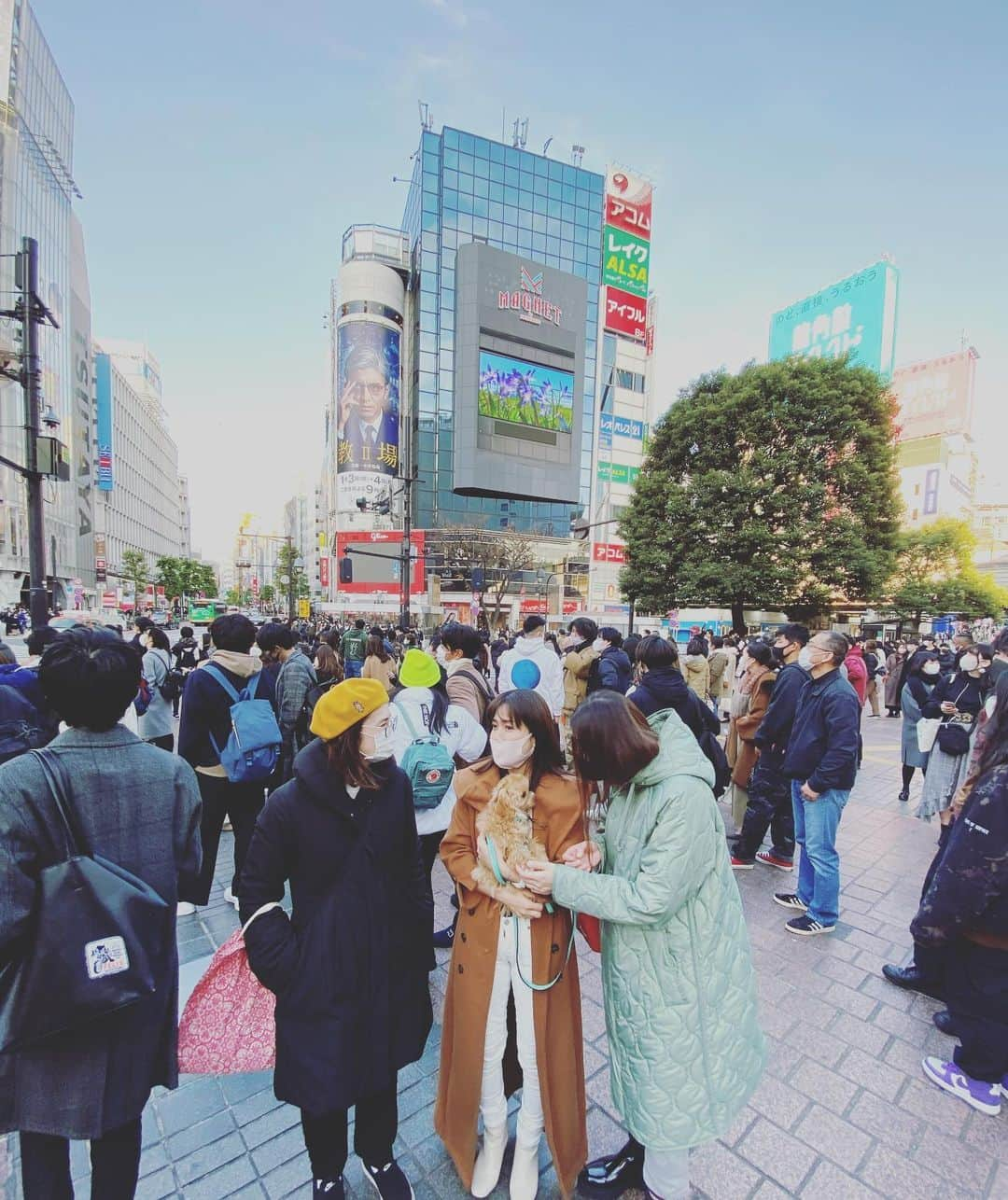 木原さとみさんのインスタグラム写真 - (木原さとみInstagram)「昨日は、かなちゃんは参加出来なかったけど、#109フォーラムビジョン　をメンバーと　#みにょん　と観に行きましたよ。この他に新宿、池袋、原宿の大画面で、先日のライブのダイヤモンドは傷つかないの映像のダイジェストが流れてます。もしも、通りかかって観れたらラッキー🤞 感染対策はしっかりね😊 で、今日からみなさんとのインスタライブが連続4日間！ まずは、まいちゃんから😊 21時からまいちゃんアカウントからCD用意してねー」12月27日 11時38分 - satop0704