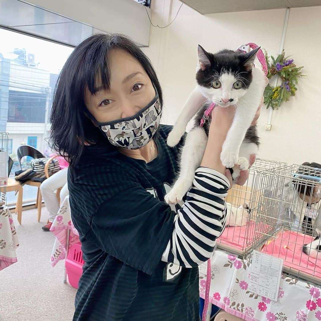 川上麻衣子さんのインスタグラム写真 - (川上麻衣子Instagram)「今年最後の猫譲渡会！まいの間にて開催中です！ 猫イラストマスクと、猫カレンダー2021の販売はこの後12時より swedengracestore.comにて。」12月27日 11時38分 - neko_to_kyo