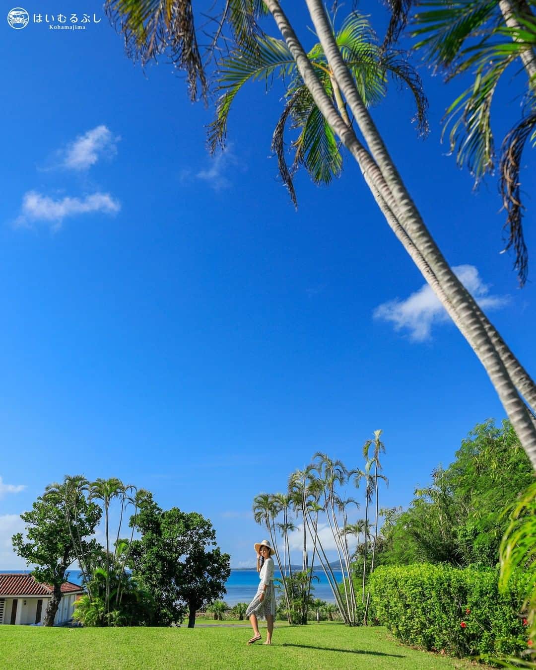 HAIMURUBUSHI はいむるぶしさんのインスタグラム写真 - (HAIMURUBUSHI はいむるぶしInstagram)「小浜島はいむるぶしから園内の散歩風景をお届けします。 宿泊棟からすぐそこは南国らしいヤシの木があり、どこまでも続く海と青空が広がる。  #八重山諸島 #小浜島 #リゾート #はいむるぶし #yaeyamaislands #kohamajima #beachresort #haimurubushi」12月27日 12時00分 - haimurubushi_resorts