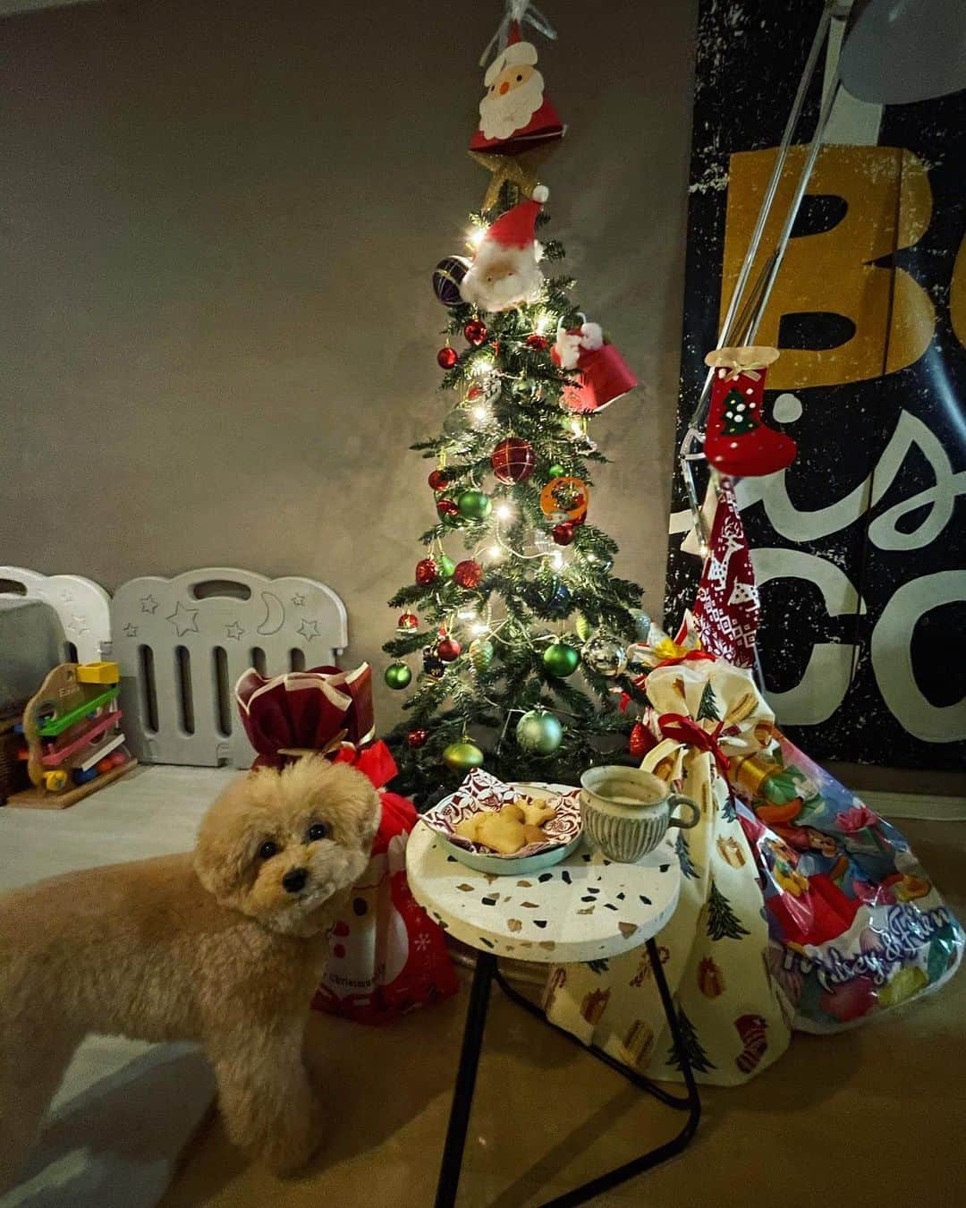 佐倉真衣さんのインスタグラム写真 - (佐倉真衣Instagram)「2020 クリスマスの思い出🎅🎄🎁 . #merrychristmas2020」12月27日 12時11分 - maitanaka20