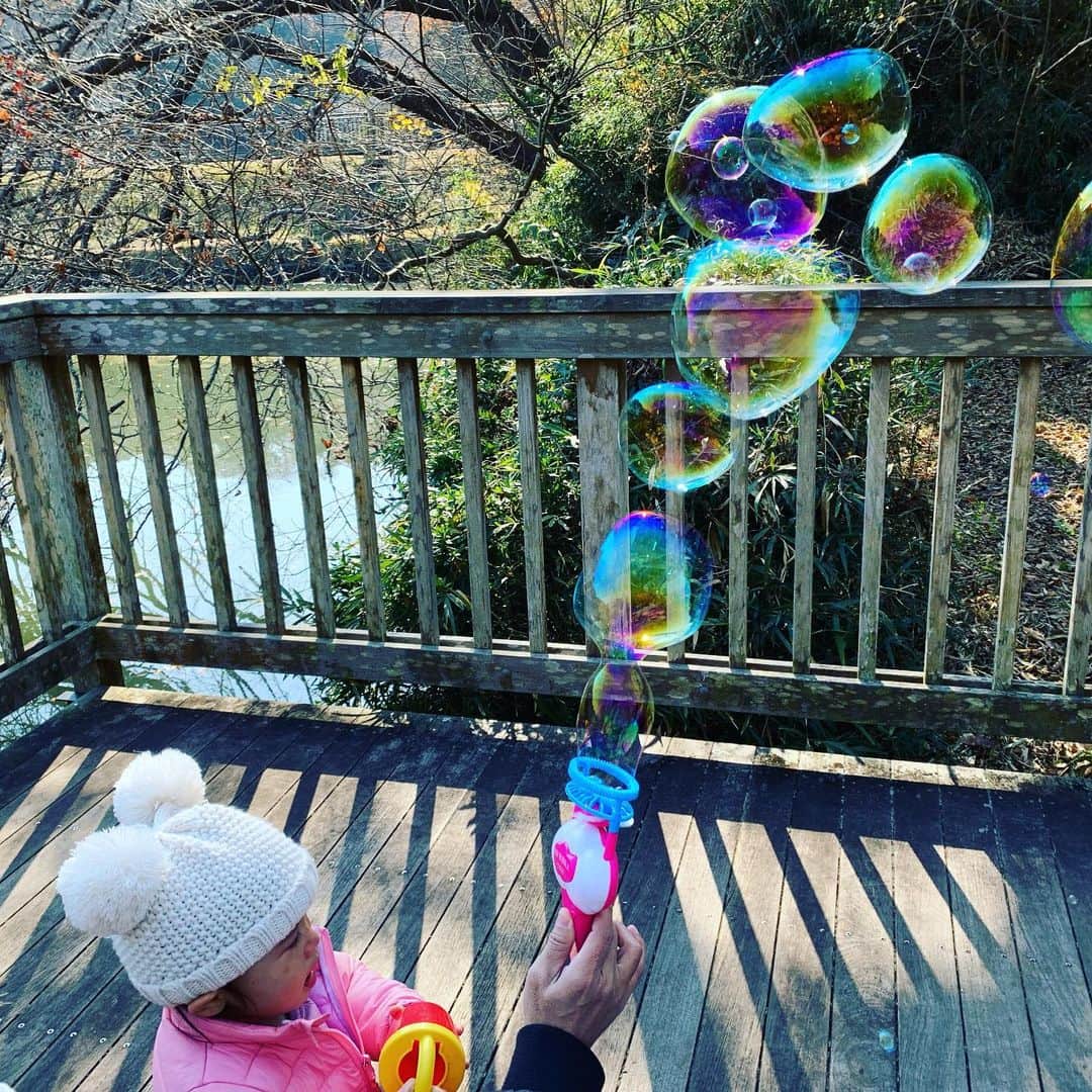 アクア新渡戸さんのインスタグラム写真 - (アクア新渡戸Instagram)「今日もめちゃくちゃ良い天気☀️😆 今日は夫婦池から中央公園までお散歩💨  鯉に餌やったり 鳥さん日餌やったり シャボン玉したり 走り回って今日もはしゃいでます😆  #笛田 #夫婦池公園  #中央公園 #遊具 #鯉の餌やり  #家族時間」12月27日 13時11分 - amiaquanitobe