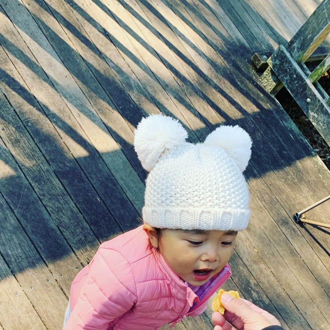 アクア新渡戸さんのインスタグラム写真 - (アクア新渡戸Instagram)「今日もめちゃくちゃ良い天気☀️😆 今日は夫婦池から中央公園までお散歩💨  鯉に餌やったり 鳥さん日餌やったり シャボン玉したり 走り回って今日もはしゃいでます😆  #笛田 #夫婦池公園  #中央公園 #遊具 #鯉の餌やり  #家族時間」12月27日 13時11分 - amiaquanitobe