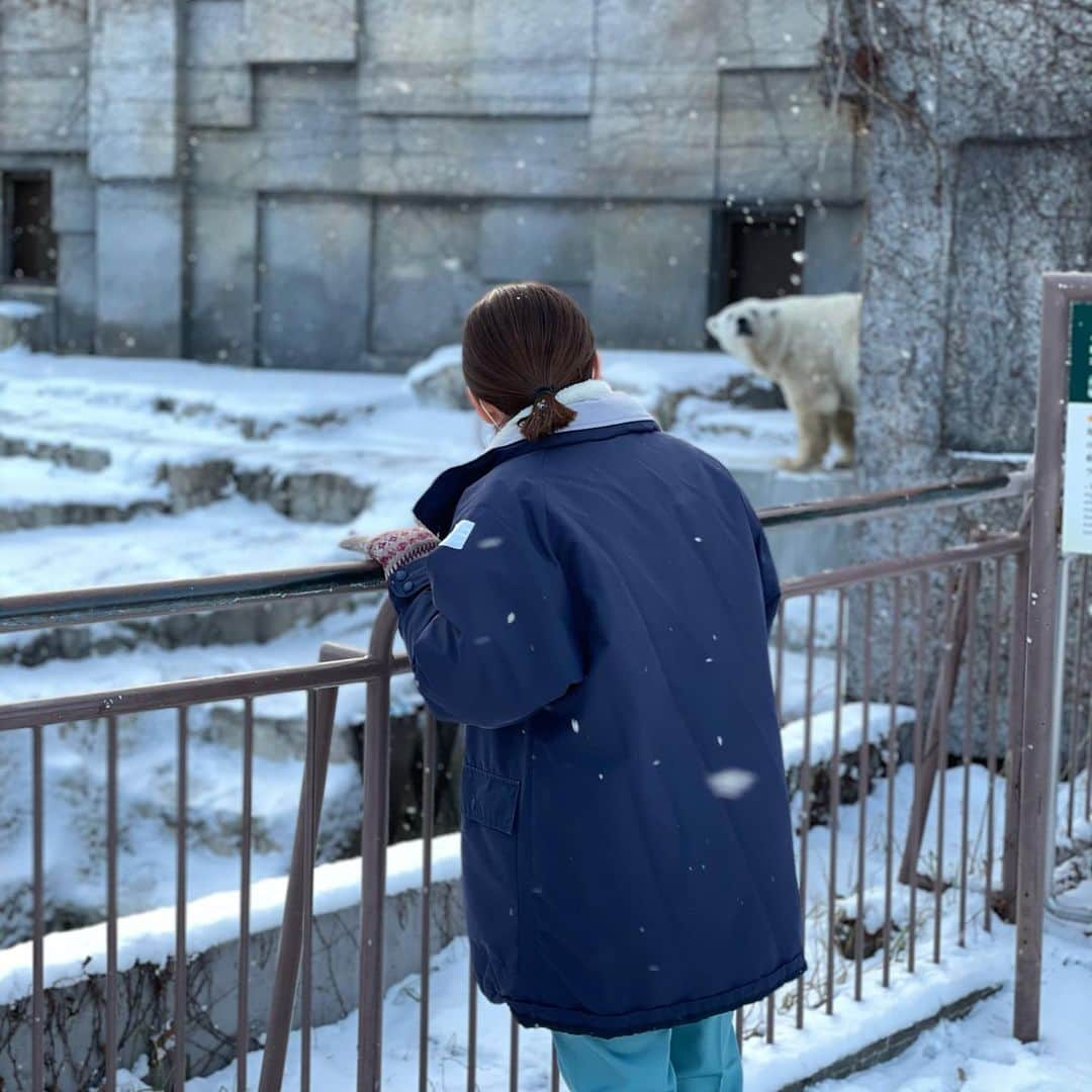 高橋みなみさんのインスタグラム写真 - (高橋みなみInstagram)「昨日放送されたテレビ北海道「もっと円山動物園！〜見ればわかる７０のヒミツ〜」 円山動物園の魅力、動物達の魅力を沢山知ることができてとても楽しいロケでした🥺✨  放送終了後GYAOで一週間の見逃し配信予定ですのでぜひご覧ください！ ナレーションを敦子が担当してくれて、まさかのあつみなを堪能できる内容にもなってます🤤✨ 敦子ナレーションありがとー！  #円山動物園 #テレビ北海道 #あつみな  衣装👗 コート、ニット @jillstuart.jp パンツ @reedit_official イヤリング @anemone_official #fashion」12月27日 13時08分 - taka37_chan