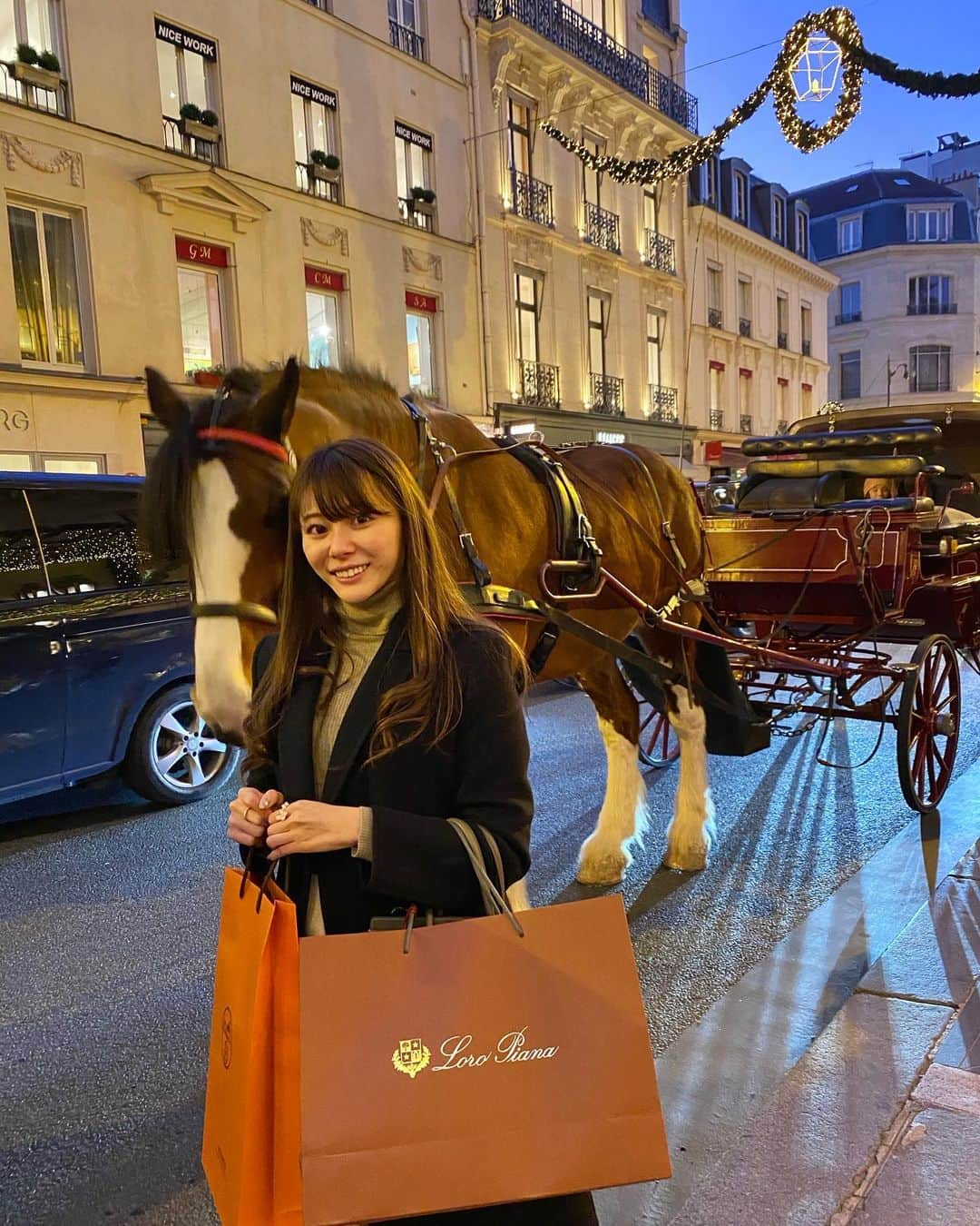 瀧口杏耶さんのインスタグラム写真 - (瀧口杏耶Instagram)「#lebristolparis 🎄 * いつかこの馬車に乗りたい🐴 (お馬さんと自撮りで写真撮ってたら めちゃくちゃ顔に近づいてきてビビり倒した人) * #ルブリストル#パリ旅行#サントノーレ通り#ホテル好き#ホテル巡り#ホテルステイ#パリの風景#パリ街歩き#hotelinparis#lebristol#oetekercollection#palacehotels」12月27日 18時46分 - aya_0429