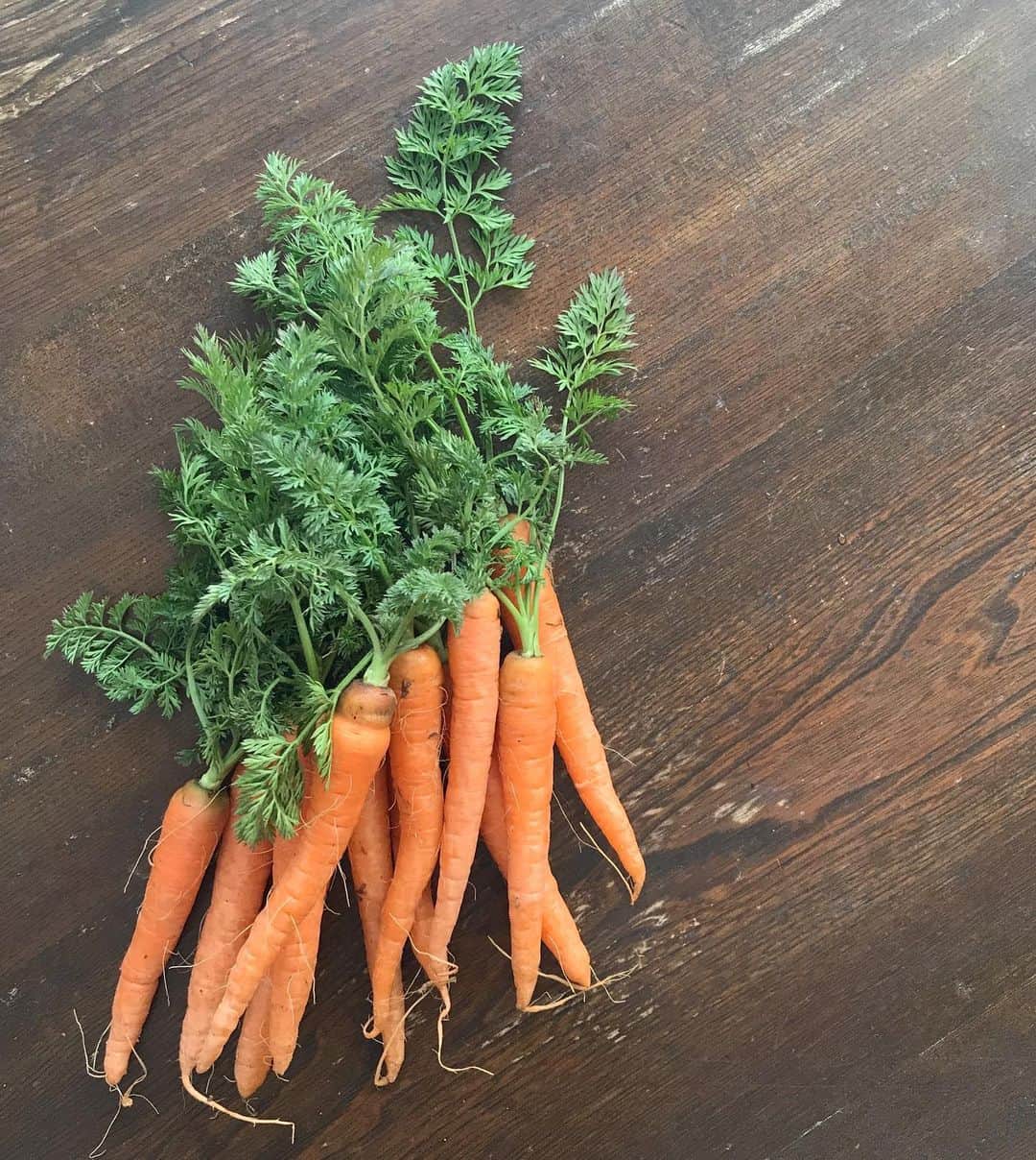 kanaのインスタグラム：「お野菜便  今期最終便のお野菜達  来年の5月まで 便はお休み  なので今月は2回にして貰った  前回の大根は鍋や 鰤大根に  普段 魚は干物以外 好んで食べない息子 鰤なんて照焼きにすると ご丁寧に血合いだけ残してる  それが鰤大根を きれいに平らげた  それは美土里さんの大根が とろける様に美味しくて 吊られてイケちゃったのだと 母は推測するのです 嬉しかったなぁ  それを美土里さんに報告したら 又大根入ってたの小躍り 笑  元気な葉っぱの人参もやって来た 習ったばかりの チヂミに出来そう  お正月のお雑煮用に 用意しなくてはと思っていた 立派な紫大根も おまけで入れて下さって 嬉しい今期の締めくくり  #ビオファーム美土里 #お野菜便 #鰤大根のお話」