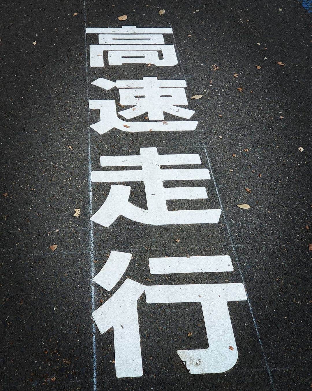ANI のインスタグラム：「#駒沢公園」