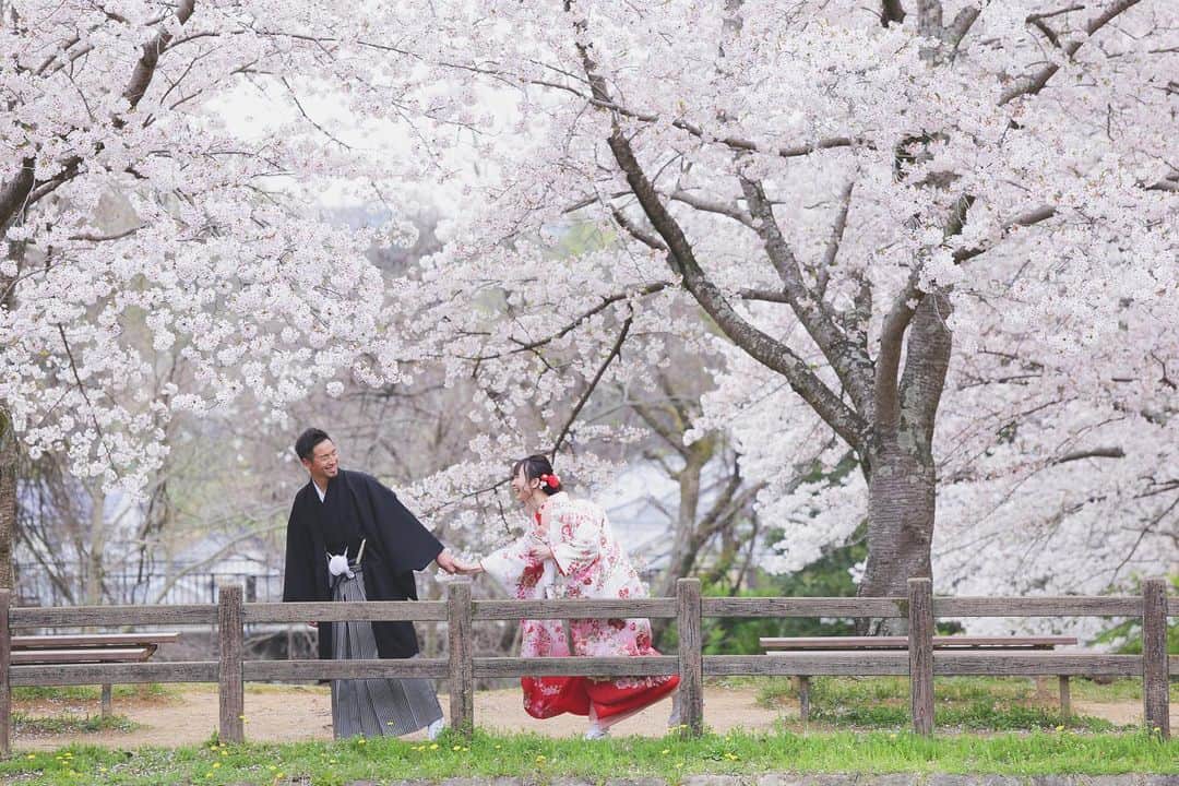 CLAIREのインスタグラム：「満開の桜と君と🌸 ・ @clairebridalstudio」