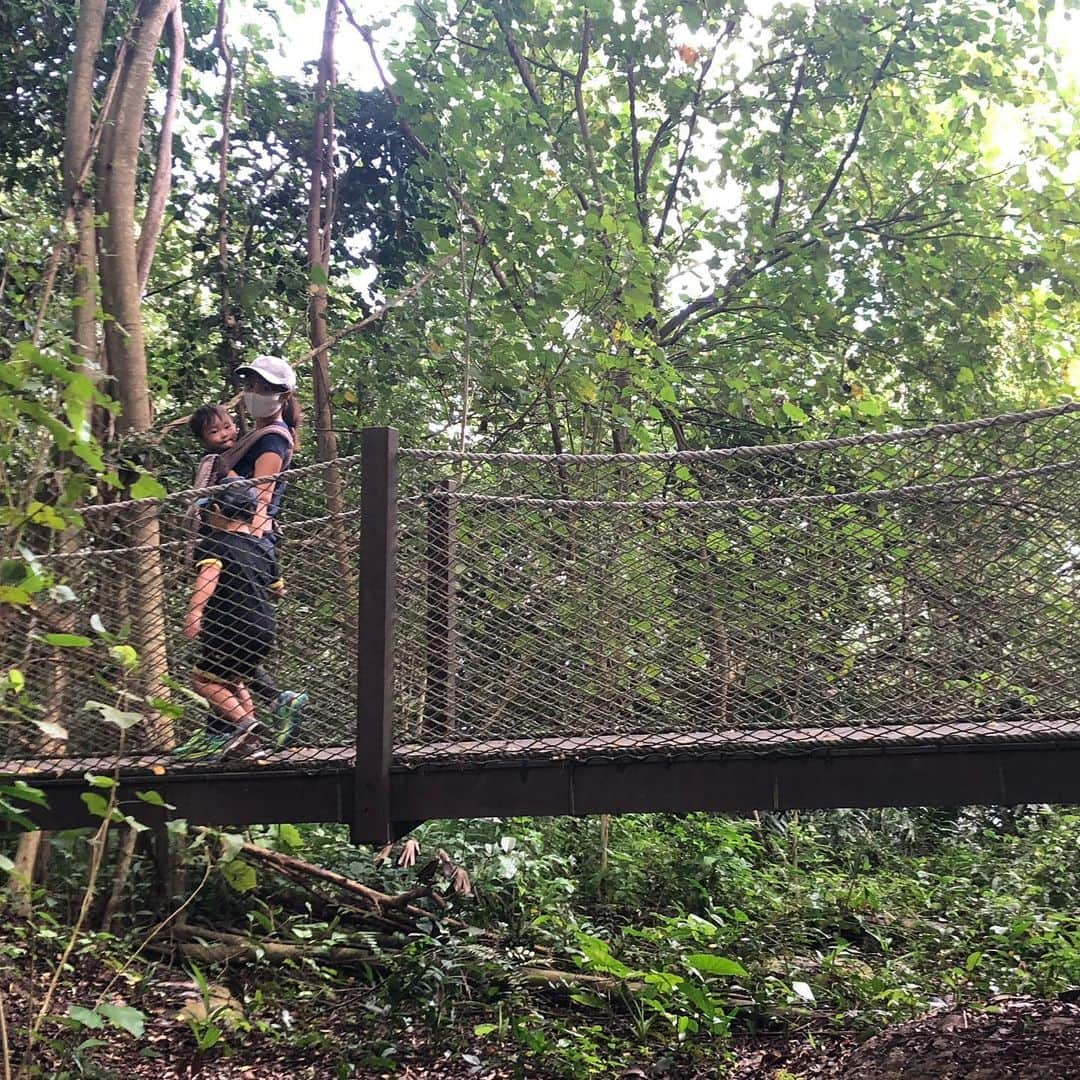 橋本麻里衣さんのインスタグラム写真 - (橋本麻里衣Instagram)「Sungei Buloh Wetland Reserve☺︎❤︎ ＊ ＊ 先日シンガポールの北西部にある湿地保護区Sungei Bulohへ行ってきました。 歩道が舗装されていてとても歩きやすくて、長男でも楽々歩けました◎ ビジターセンター付近にある水に浮かぶ遊具（→写真2.3枚目）がなかなか楽しめましたよ♫ ＊ マレーシアの近くでGPSがマレーシアに入国したと勘違いしてwelcome to Malaysia!というSMSがスターハブから送られてきたので.. 携帯の通信料金が若干不安です..☺︎ ＊ ＊ そして、オンラインヨガの　@soelu_official では現在もキャンペーン実施中! こちらのURLから入っていただくとキャンペーンカード無くてもこれまで同様30日間の無料体験のクーポン内容が適用されます。 ———— https://soelu.com/register?campaign_code=20mari04 ———— →URLがリンクにならないのでコピペして使ってください🙏 ＊ #SOELU#SOELUな暮らし#ソエル#ていねいな暮らし#オンラインヨガ#おうちヨガ ＊  それでは皆様良いお年を...☺︎❤︎  ＊ #SungeiBuloh#スンガイブロー#スンゲイブロー #singaporelife#sglocallife#lifeinsingapore#igsg#sgig#シンガポールライフ#シンガポール生活#シンガポール在住#シンガポール子育て#シンガポールおすすめ#ヨガ#男の子のママ#生後23ヶ月#4歳#二児ママ#海外生活 ☺︎」12月27日 15時32分 - mariihashimoto